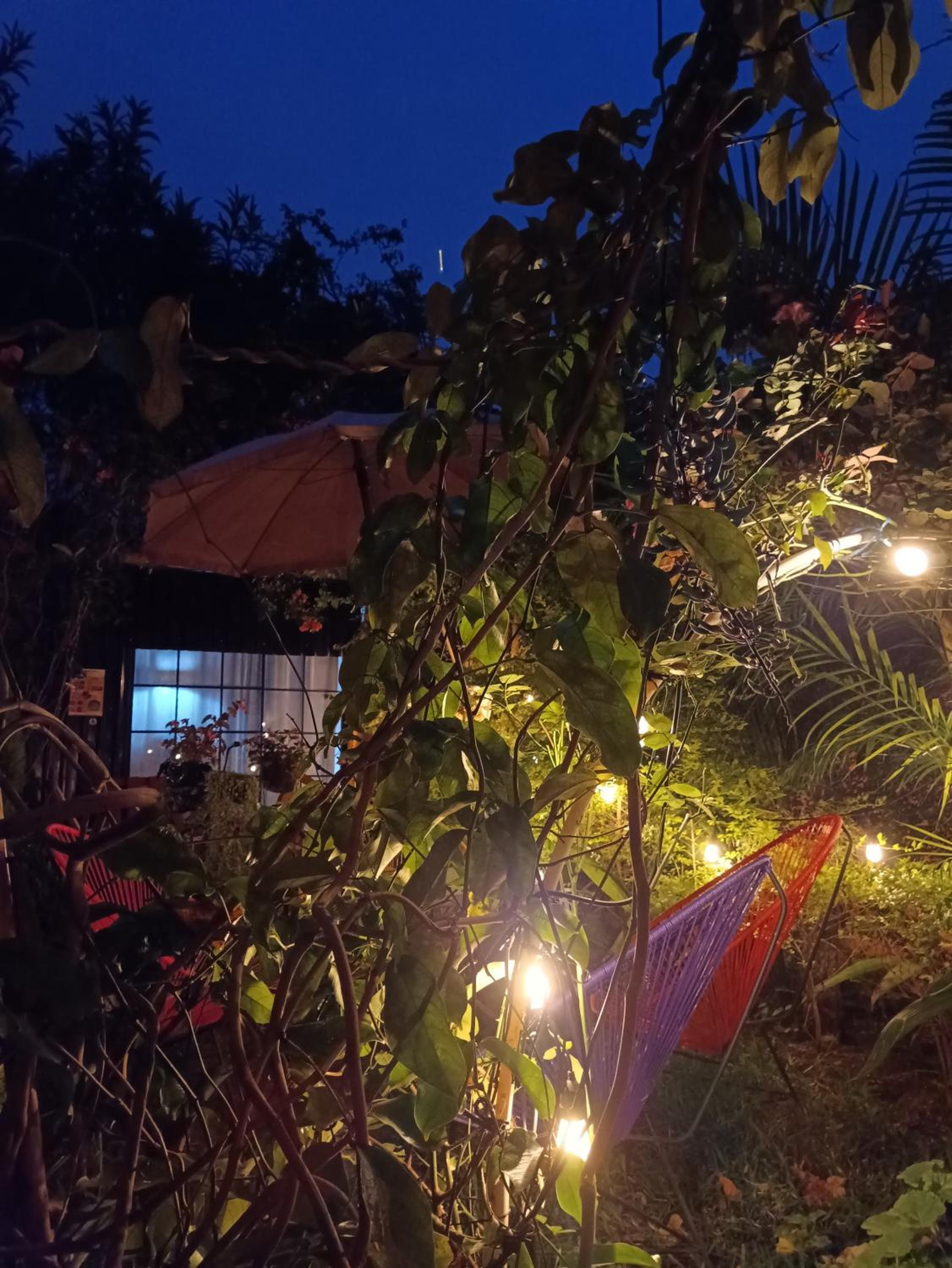 Antigua Guatemala Vacations - HOSTAL LA PAZ - Property Image 27