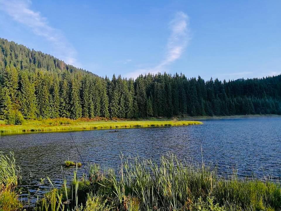 Deer Lake 521 at Oak Residence Hotel & Relax