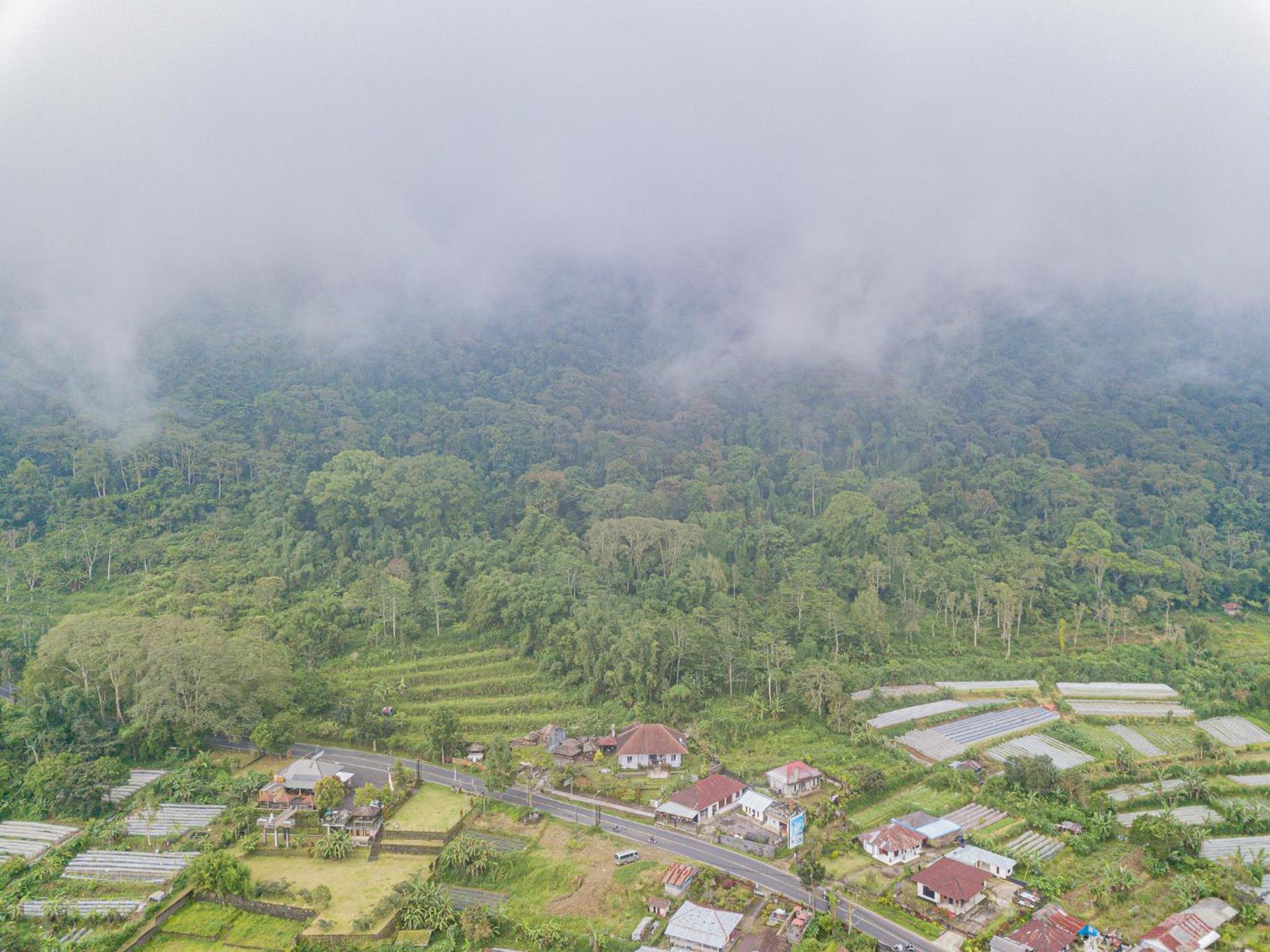 Four Monkeys House by Bukit Vista view 2