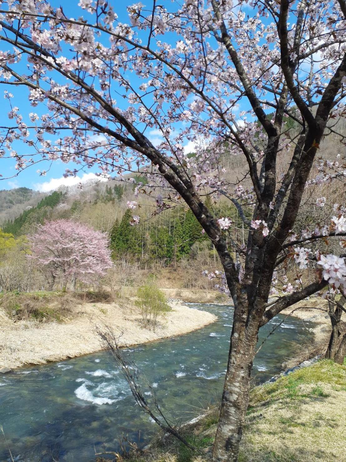 HAKUBA IKEDA LIFE KAN APARTMENTS, Hakuba - 15