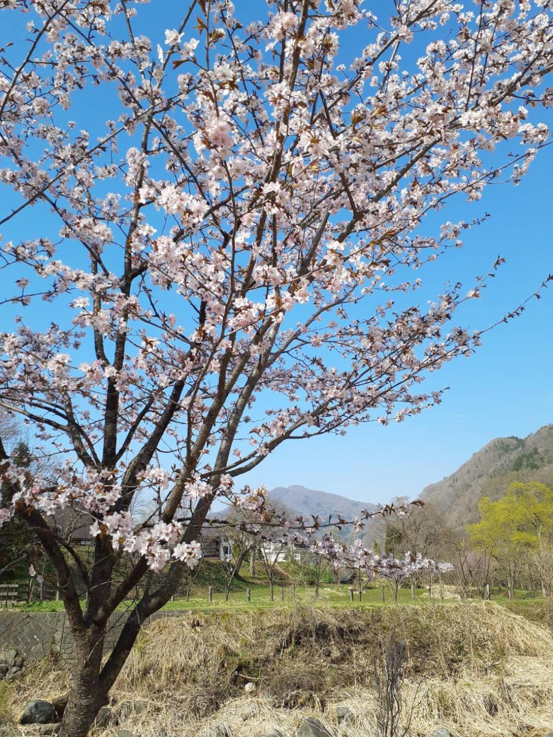 HAKUBA IKEDA LIFE KAN APARTMENTS, Hakuba - 17