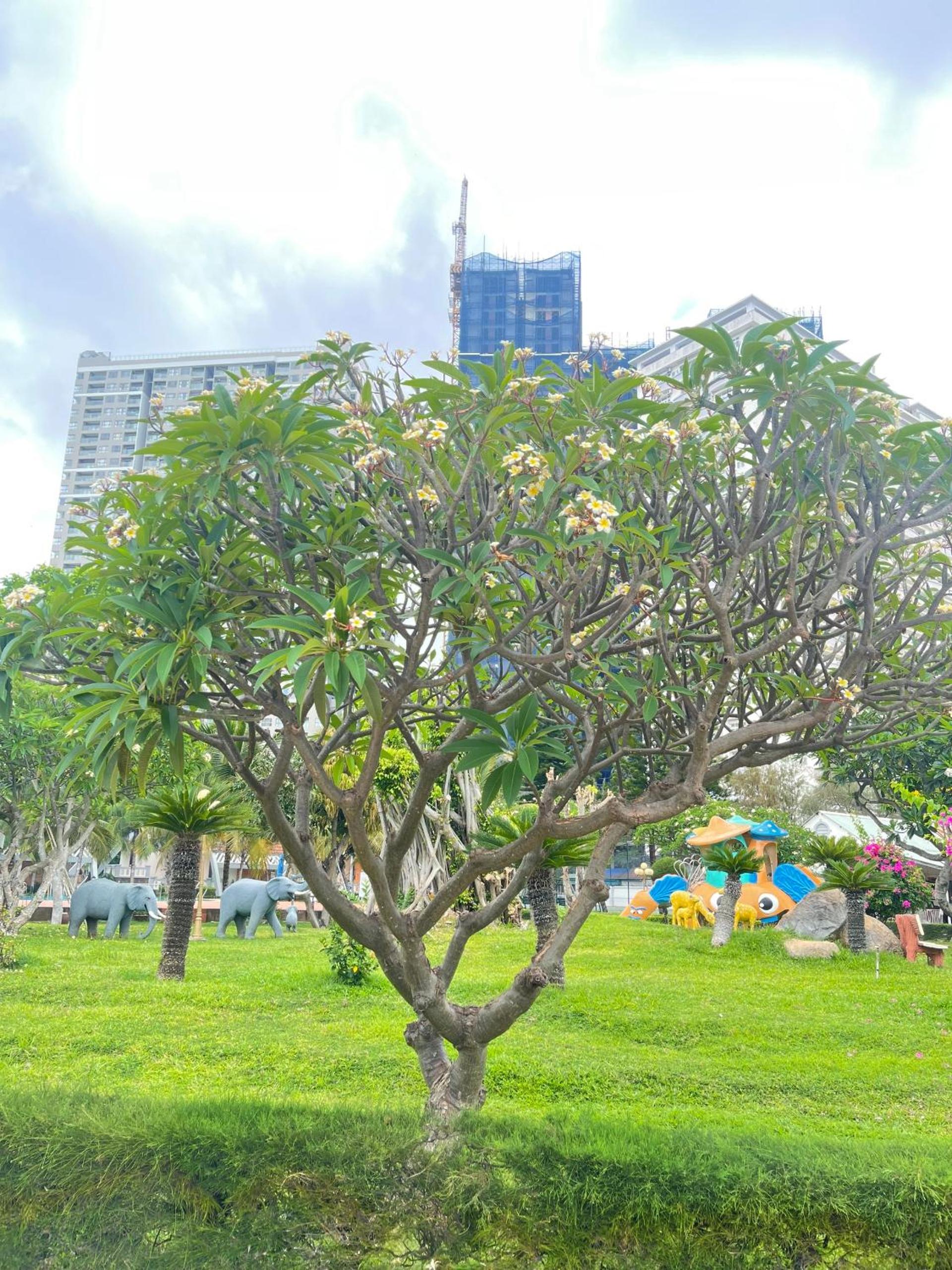 Lotus Vung Tau Resort & Spa
