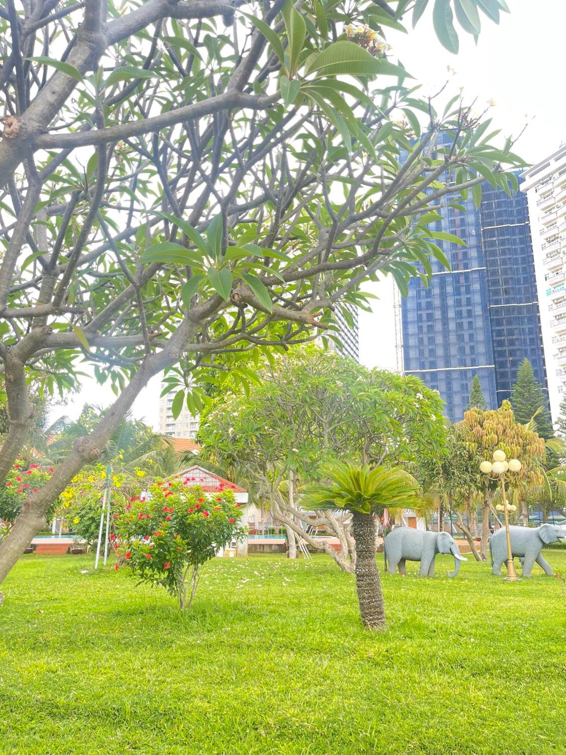 Lotus Vung Tau Resort & Spa