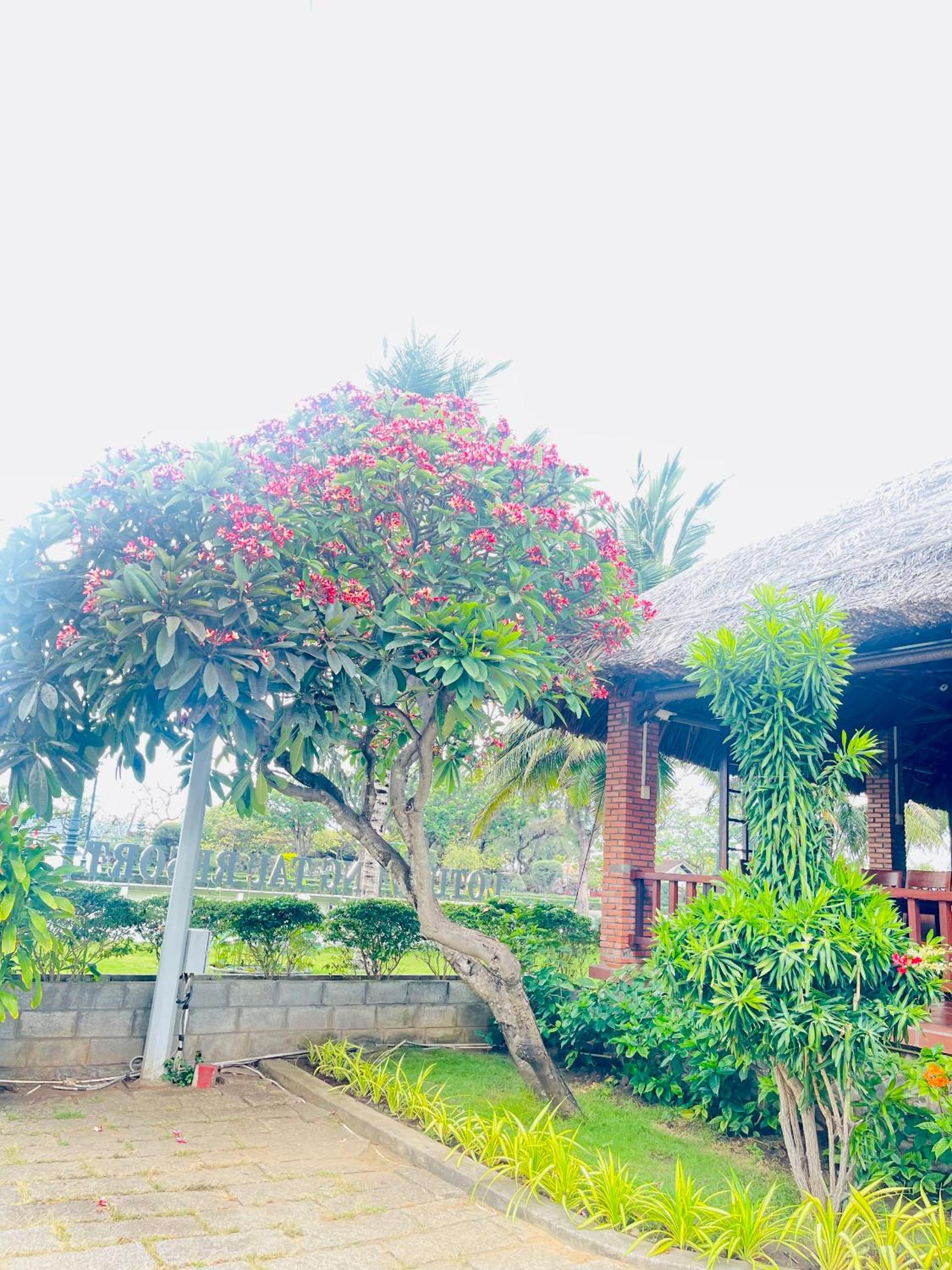 Lotus Vung Tau Resort & Spa
