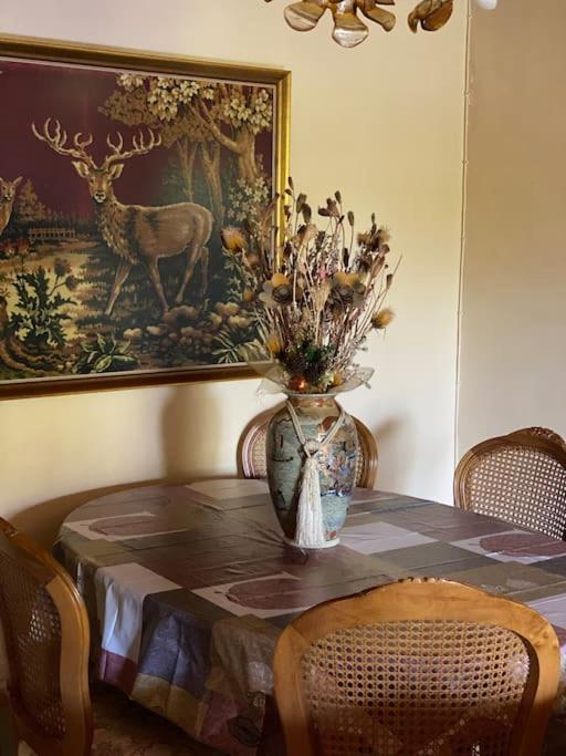 Marinakis Airbnb