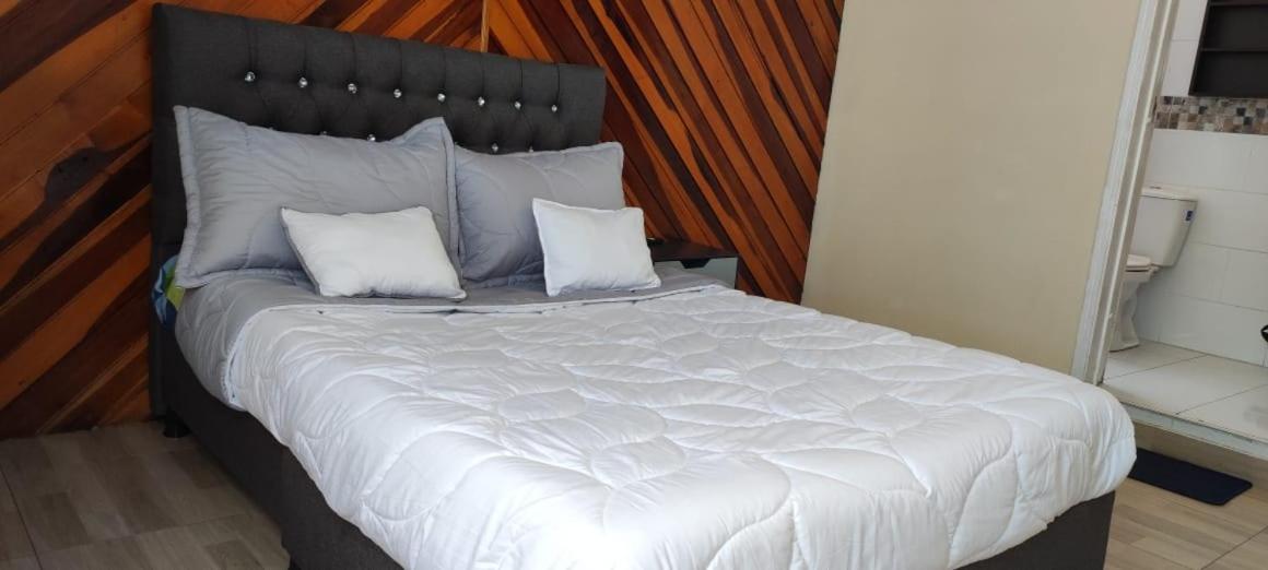 Apartasuite Movistar Campin