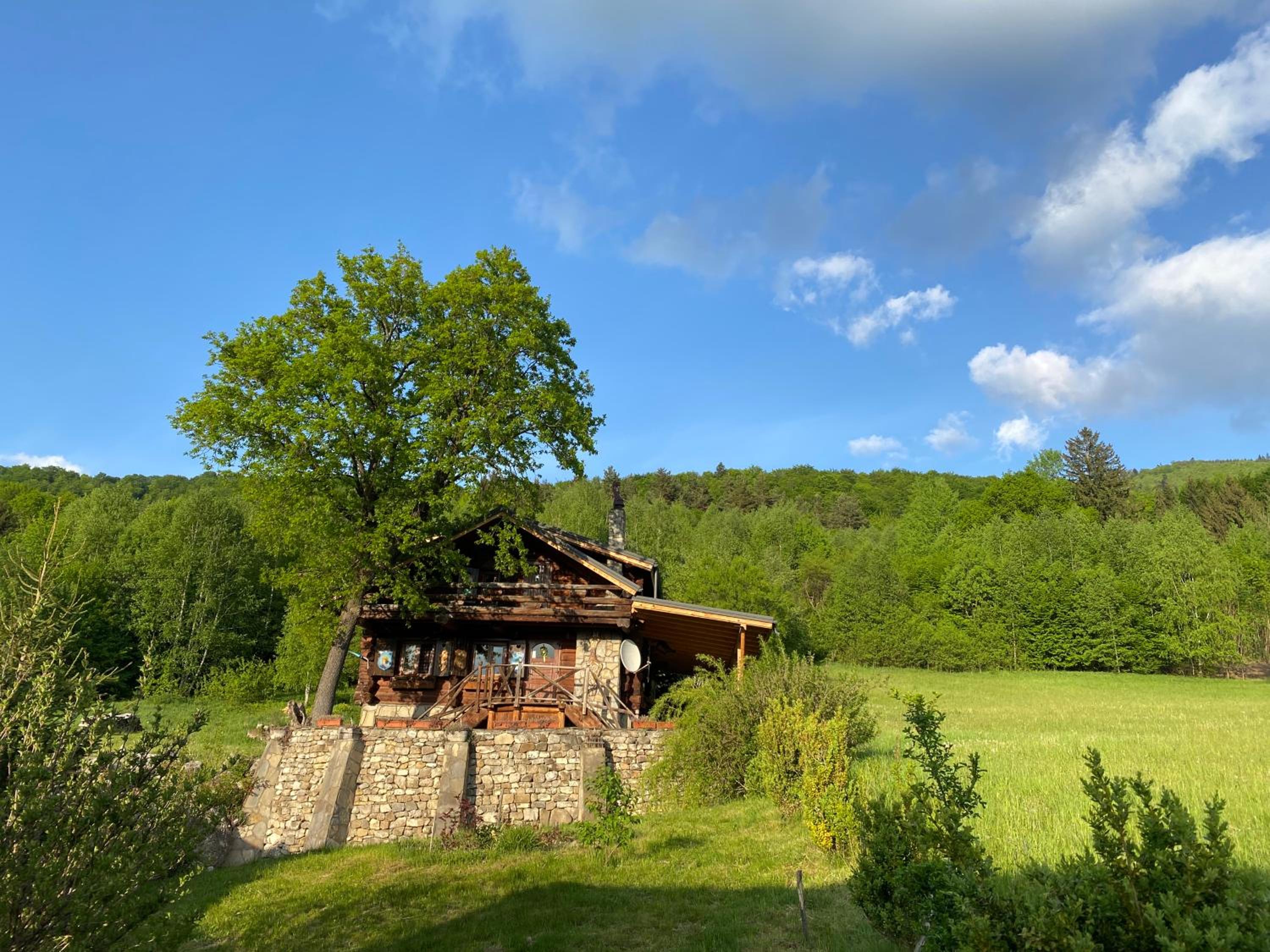 Cabana vânătorului view 5