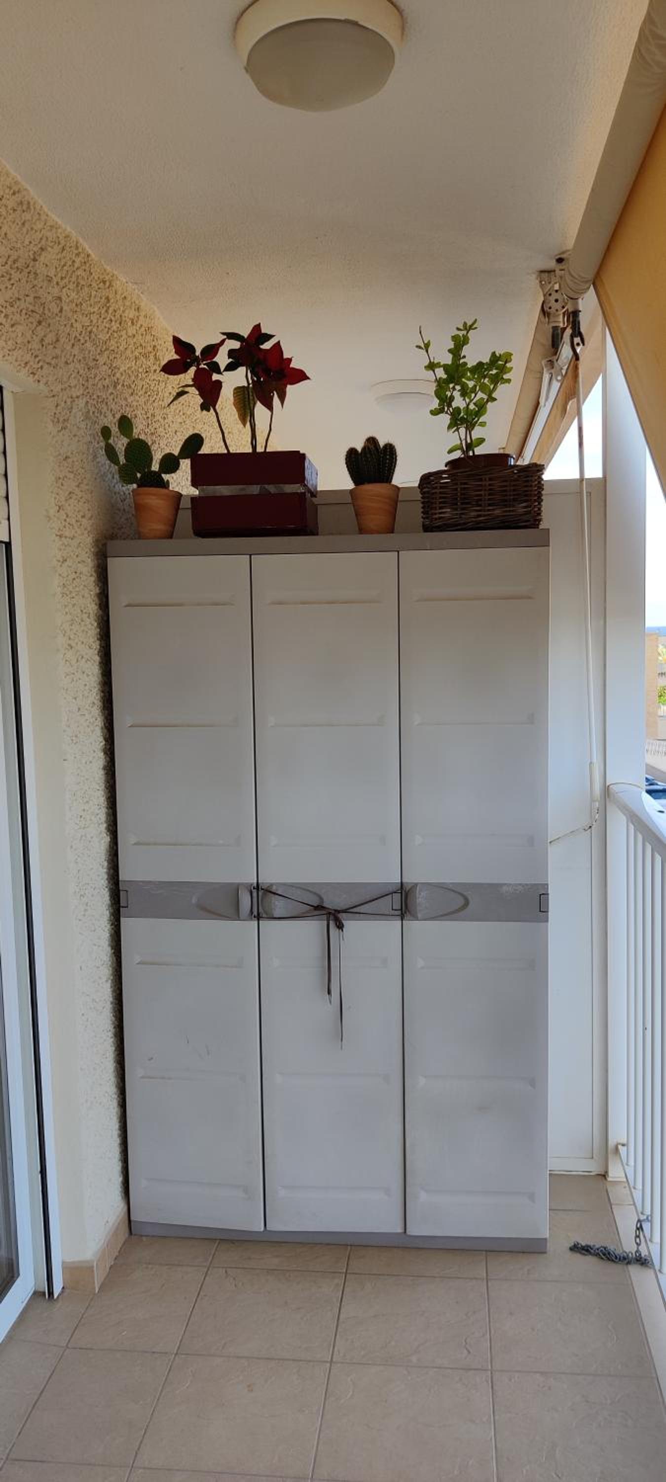 Playa Torre del Este Santa Pola photo 3