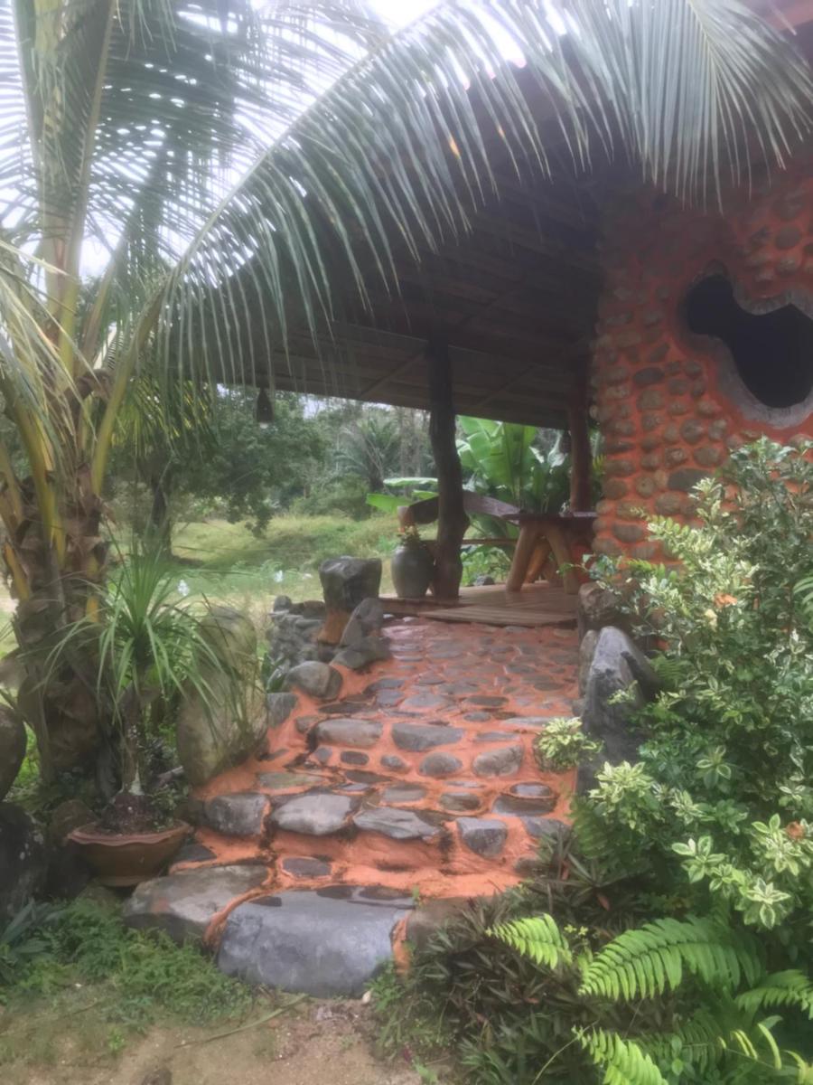 Photo 12