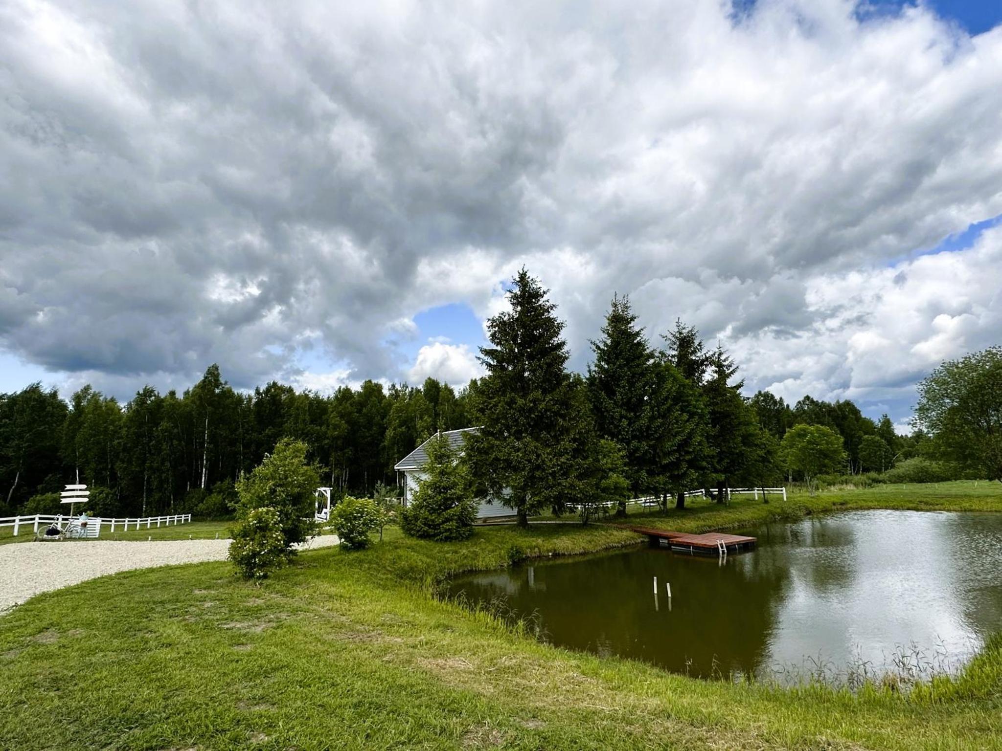 Photo 25