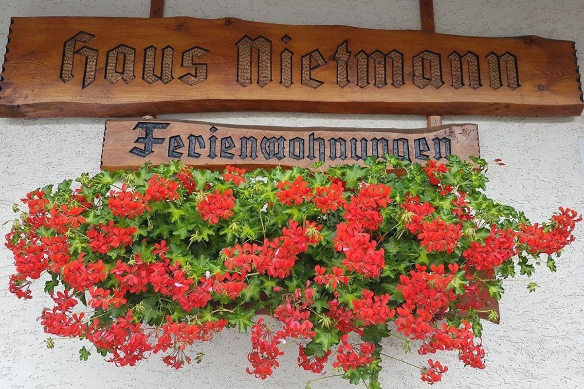 Urlaub-im-Haus-Nietmann-FW-4