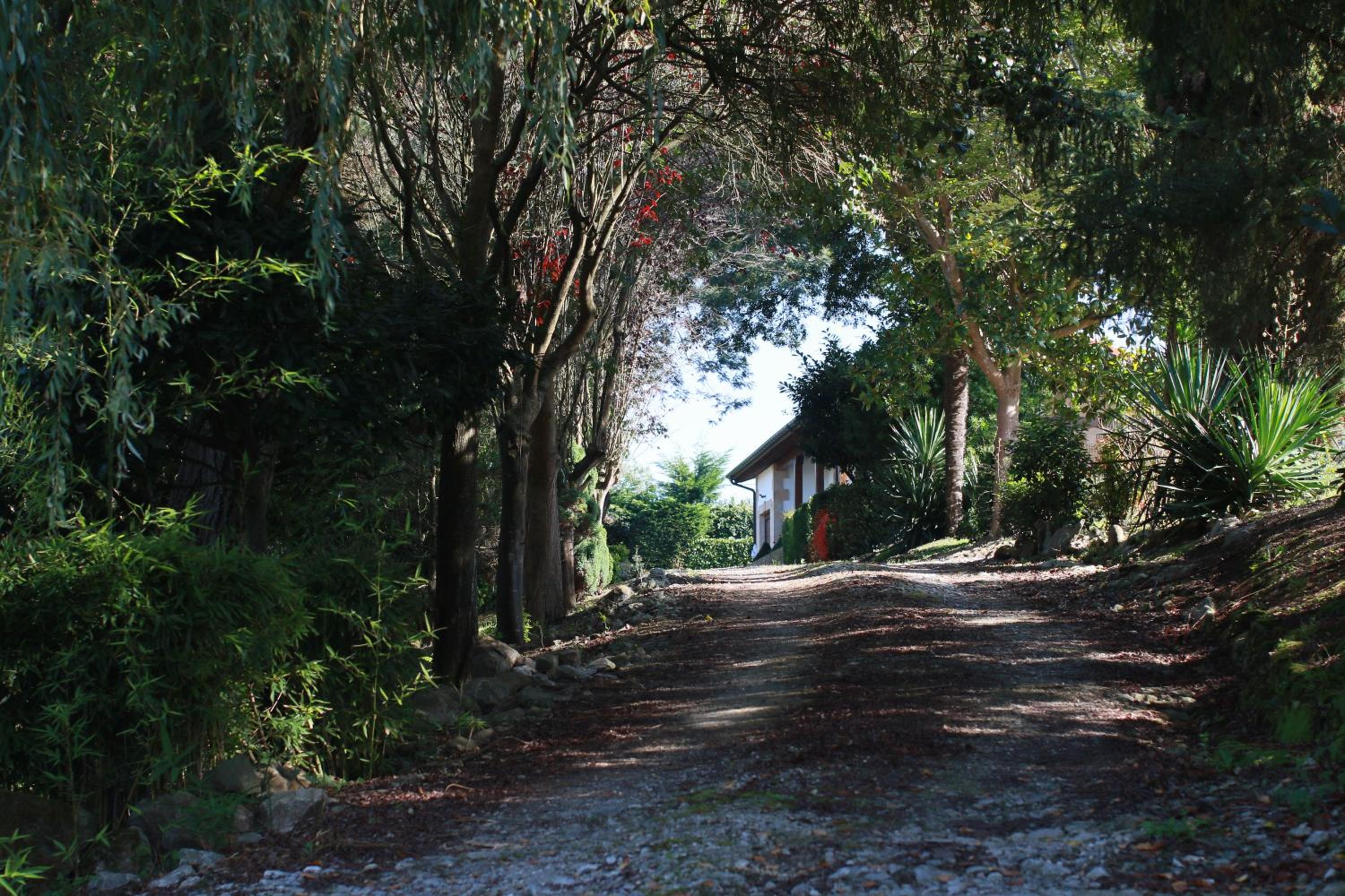 Apartamentos Garden Rock