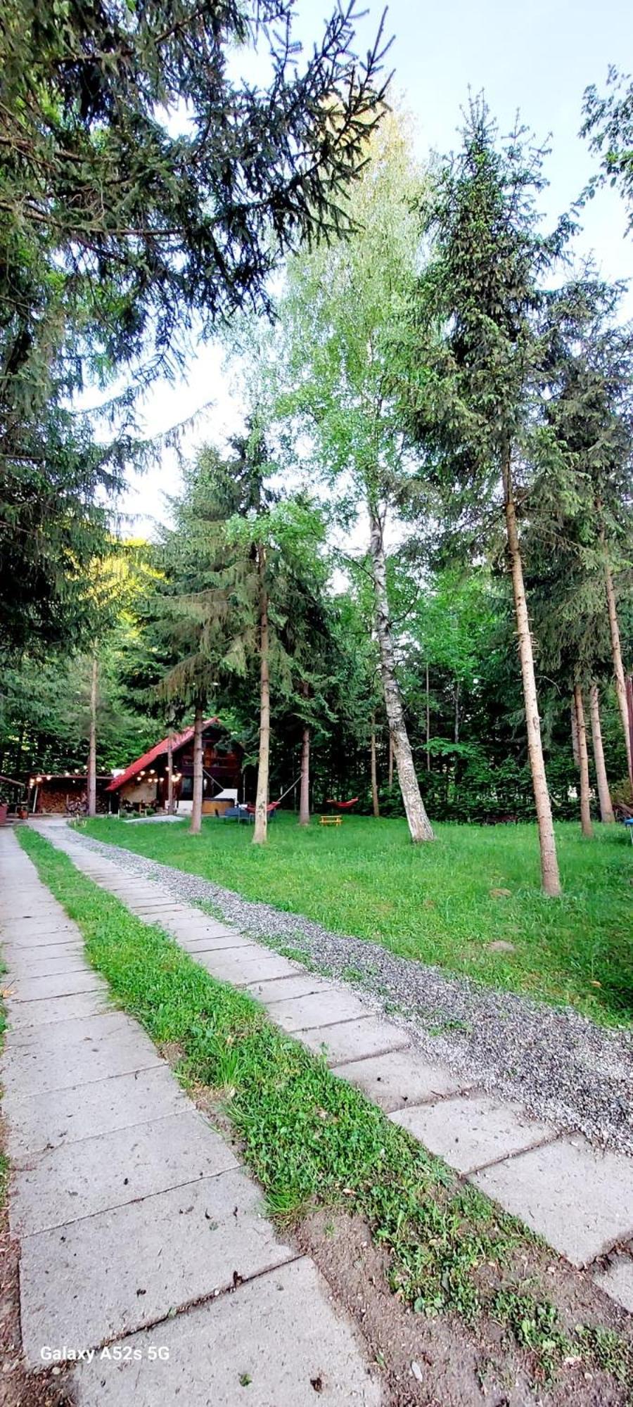 Misha's House