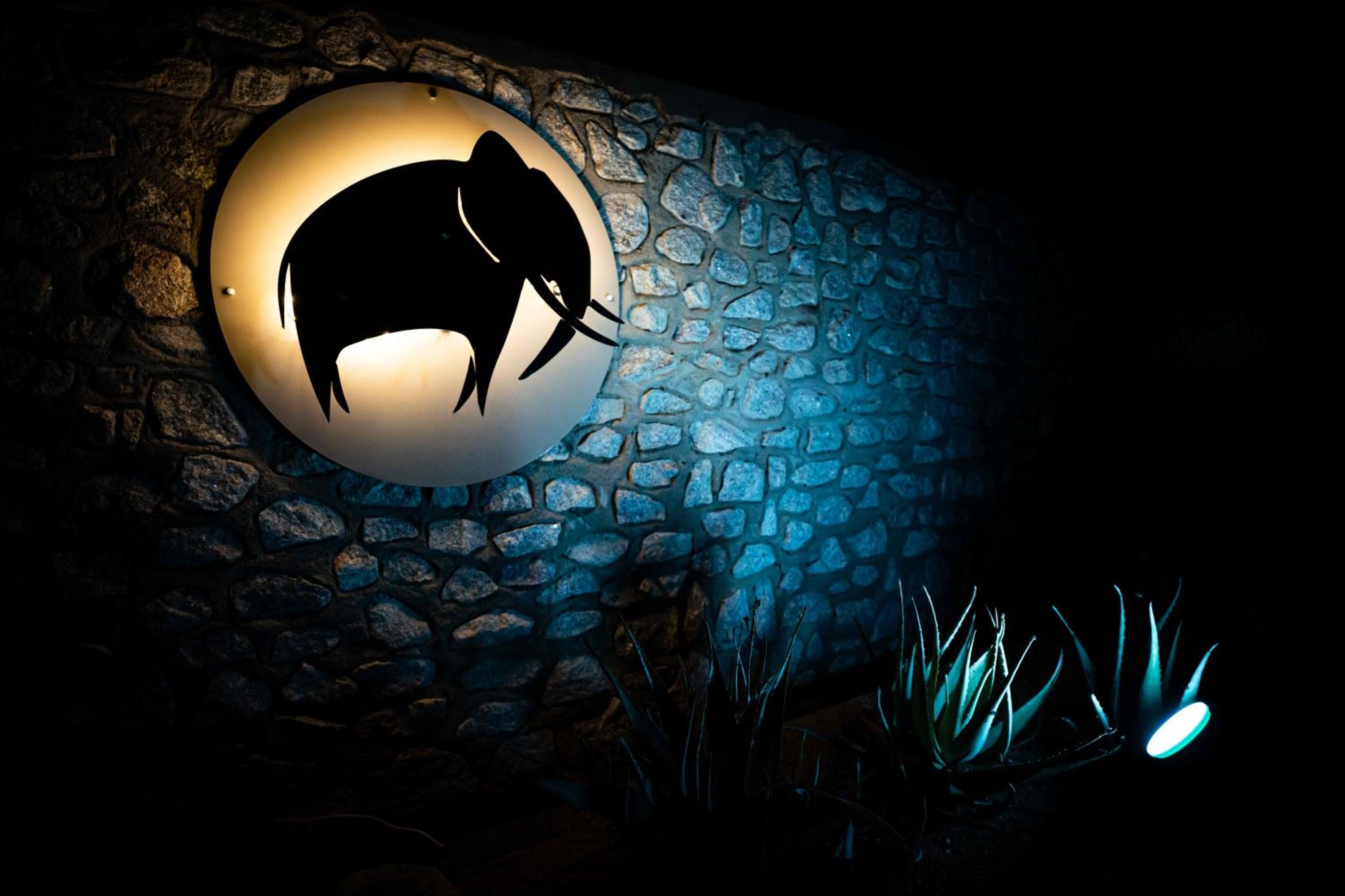 Elephant Plains Game Lodge