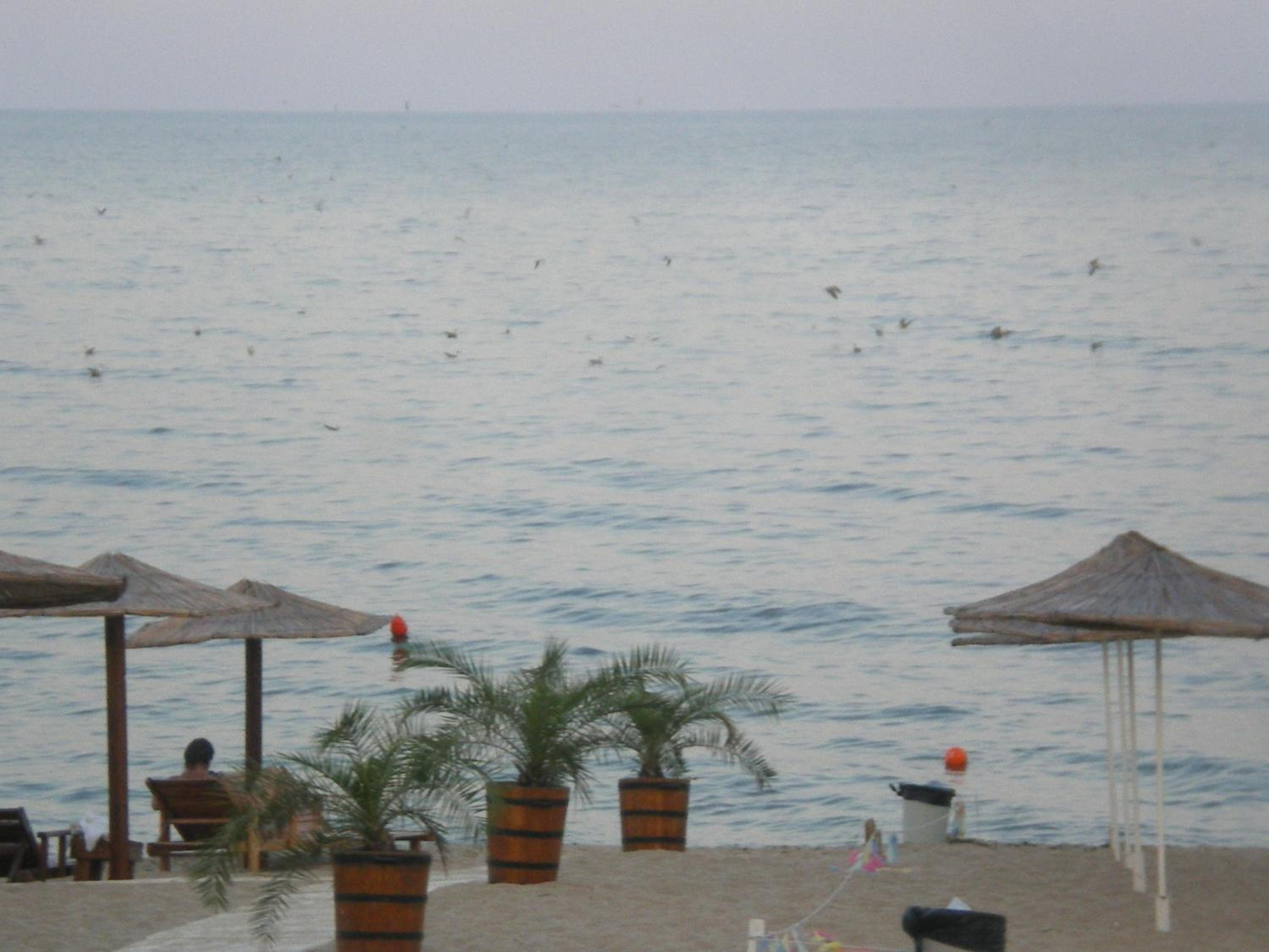 Beach House Cabacum