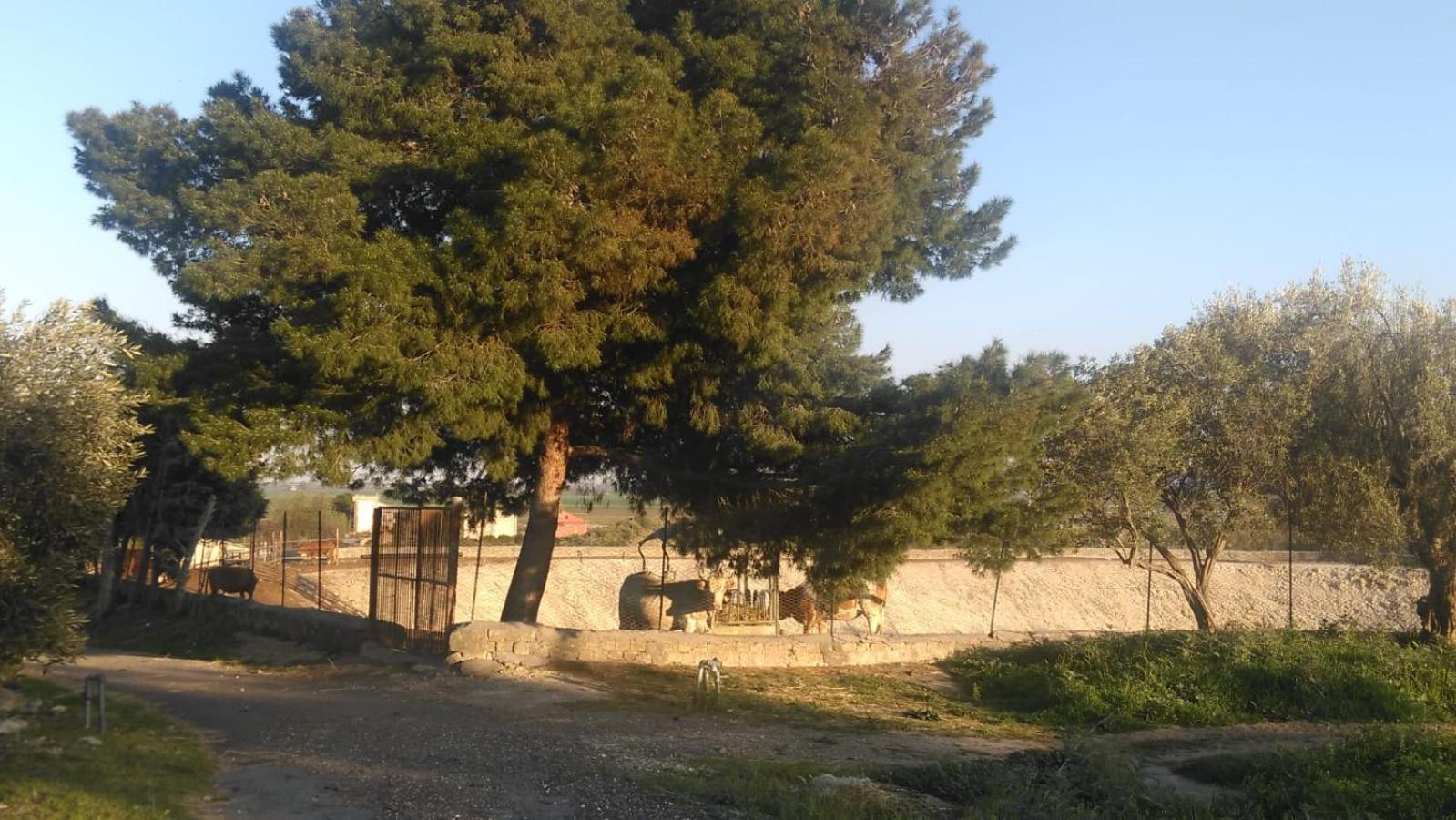 Il Giardino Del Sole
