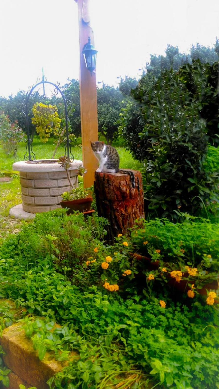 Il Giardino Del Sole