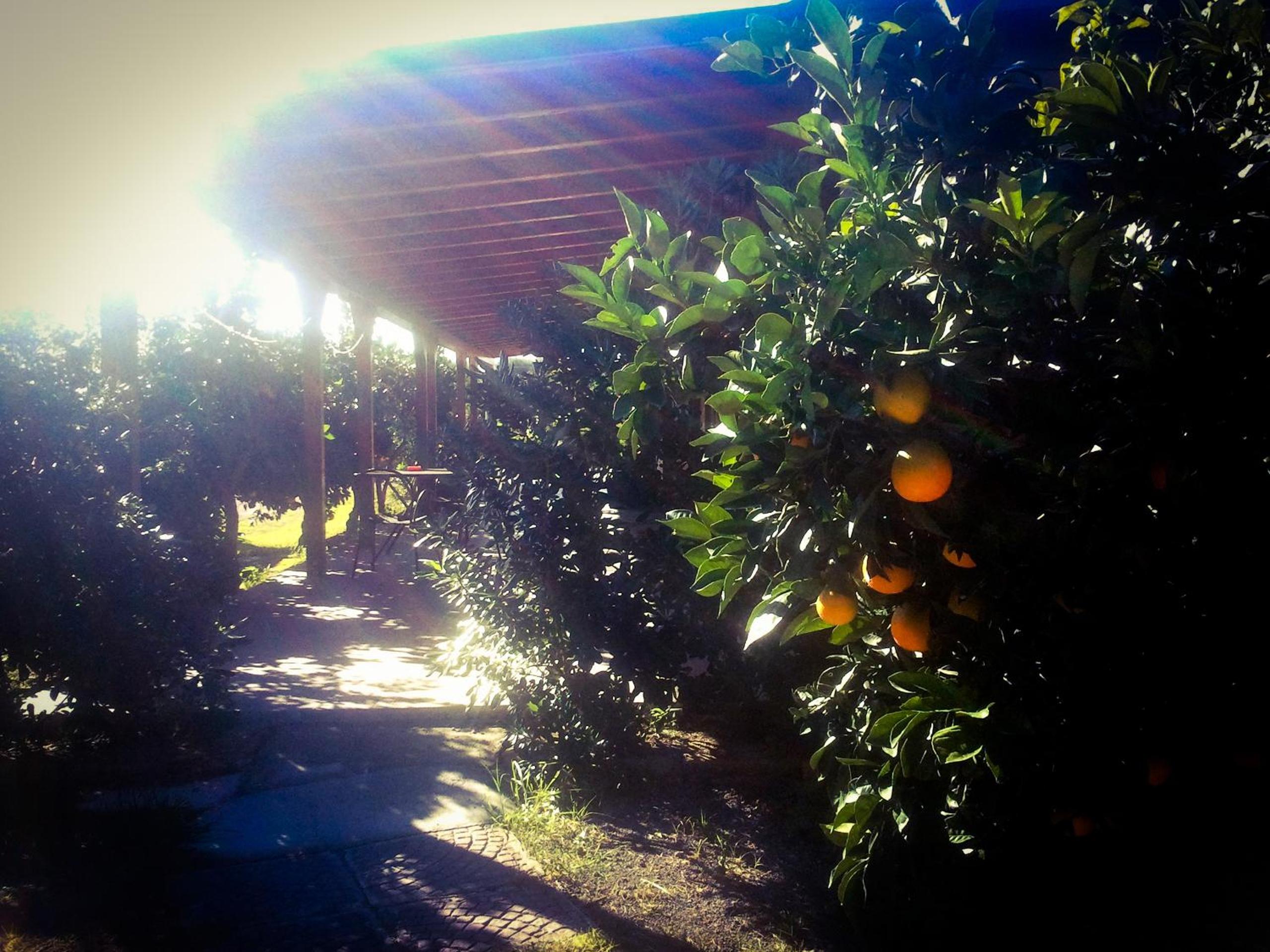 Il Giardino Del Sole