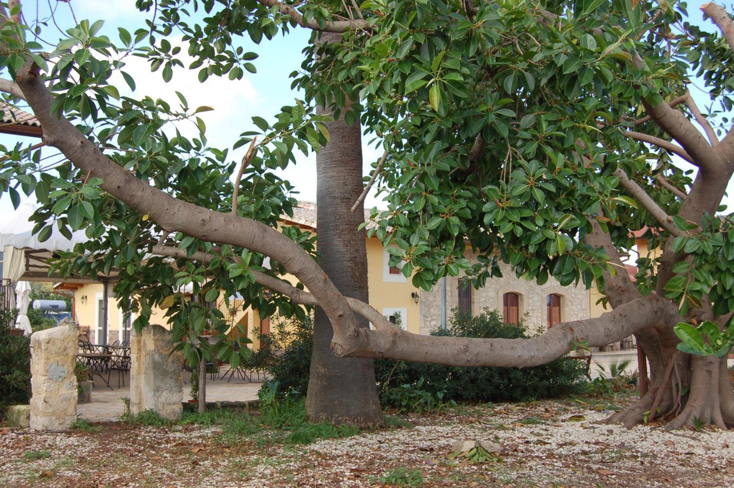 Il Giardino Del Sole