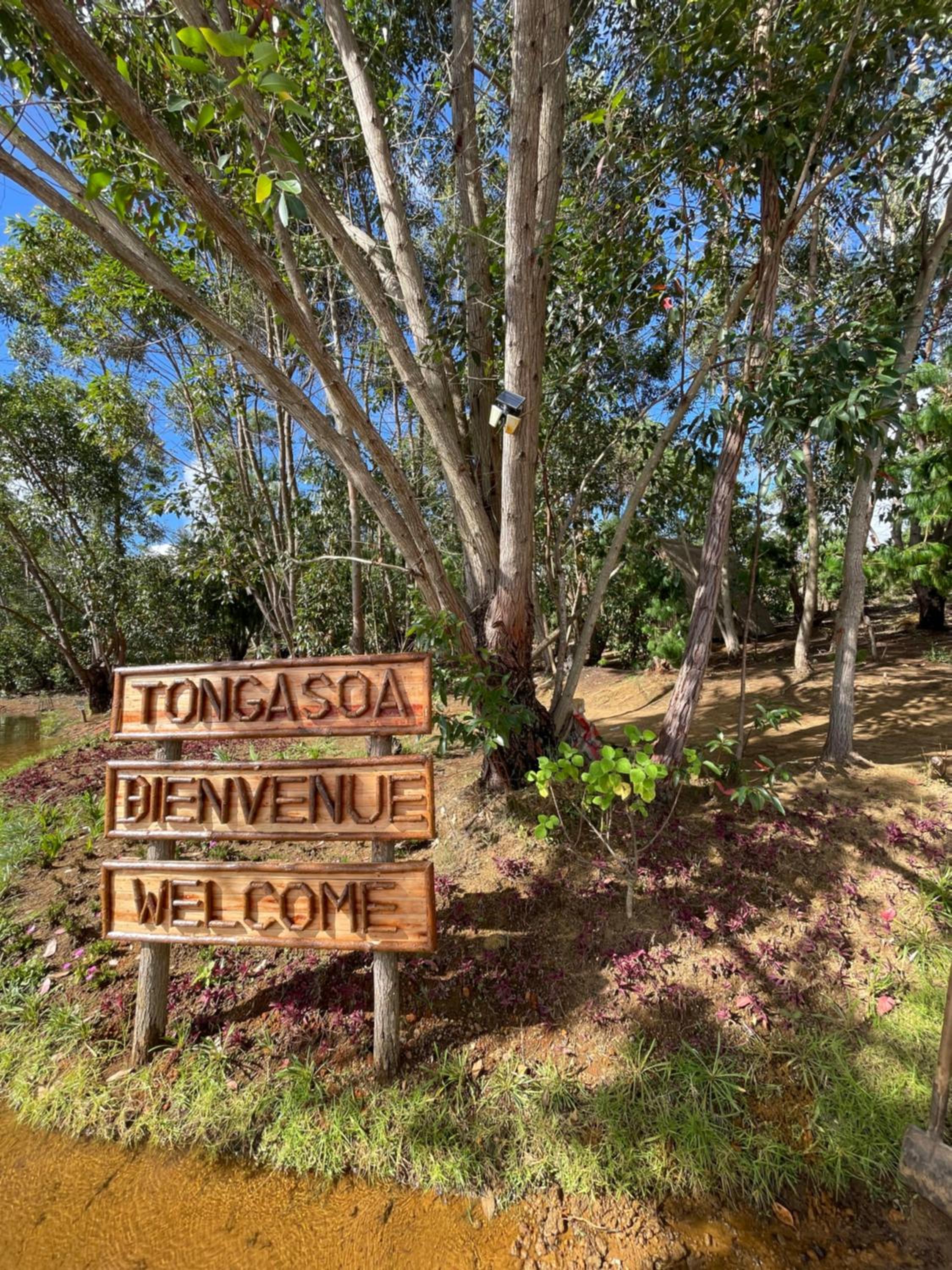 TSIAZOMPANIRY ISLAND LODGE view 4