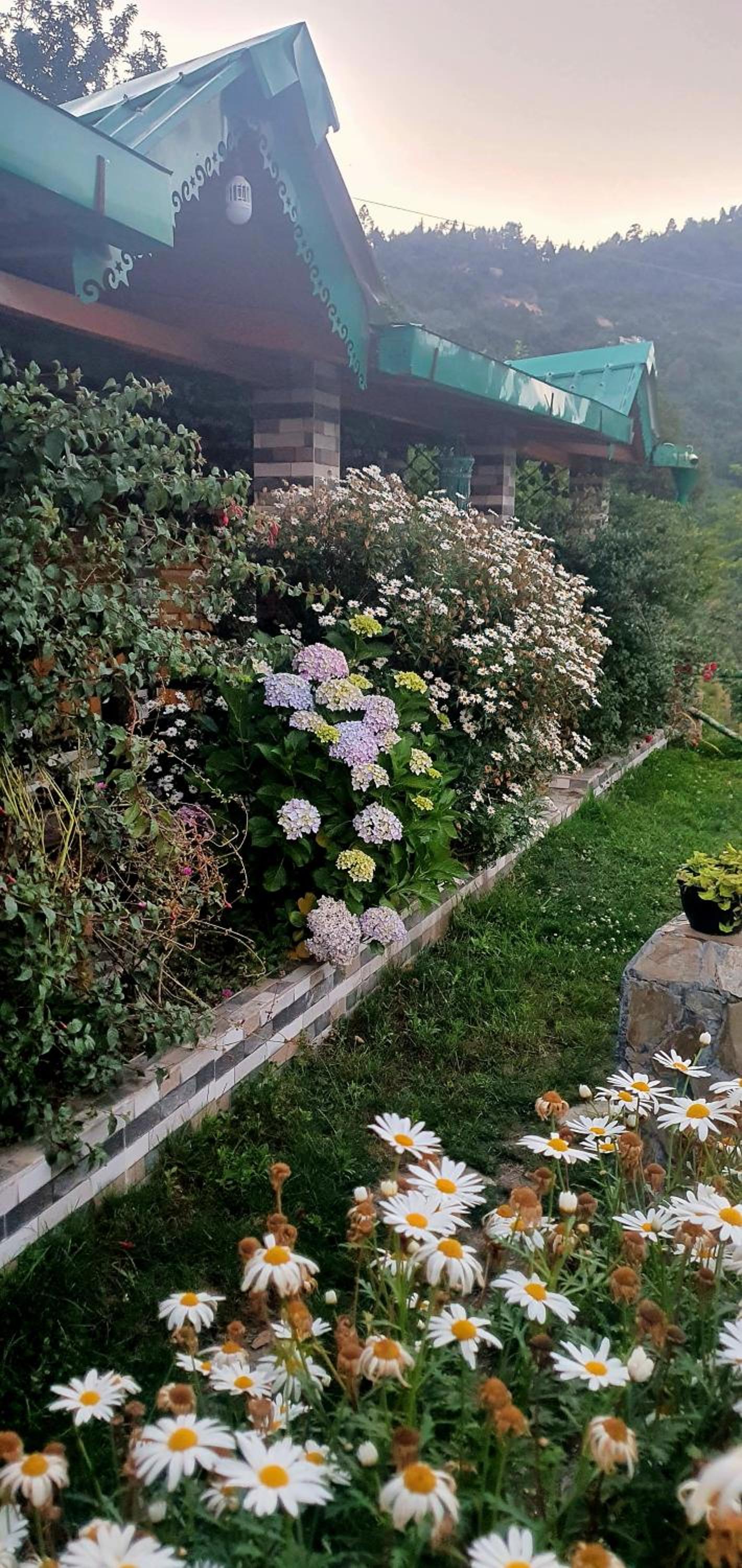 Photo 196