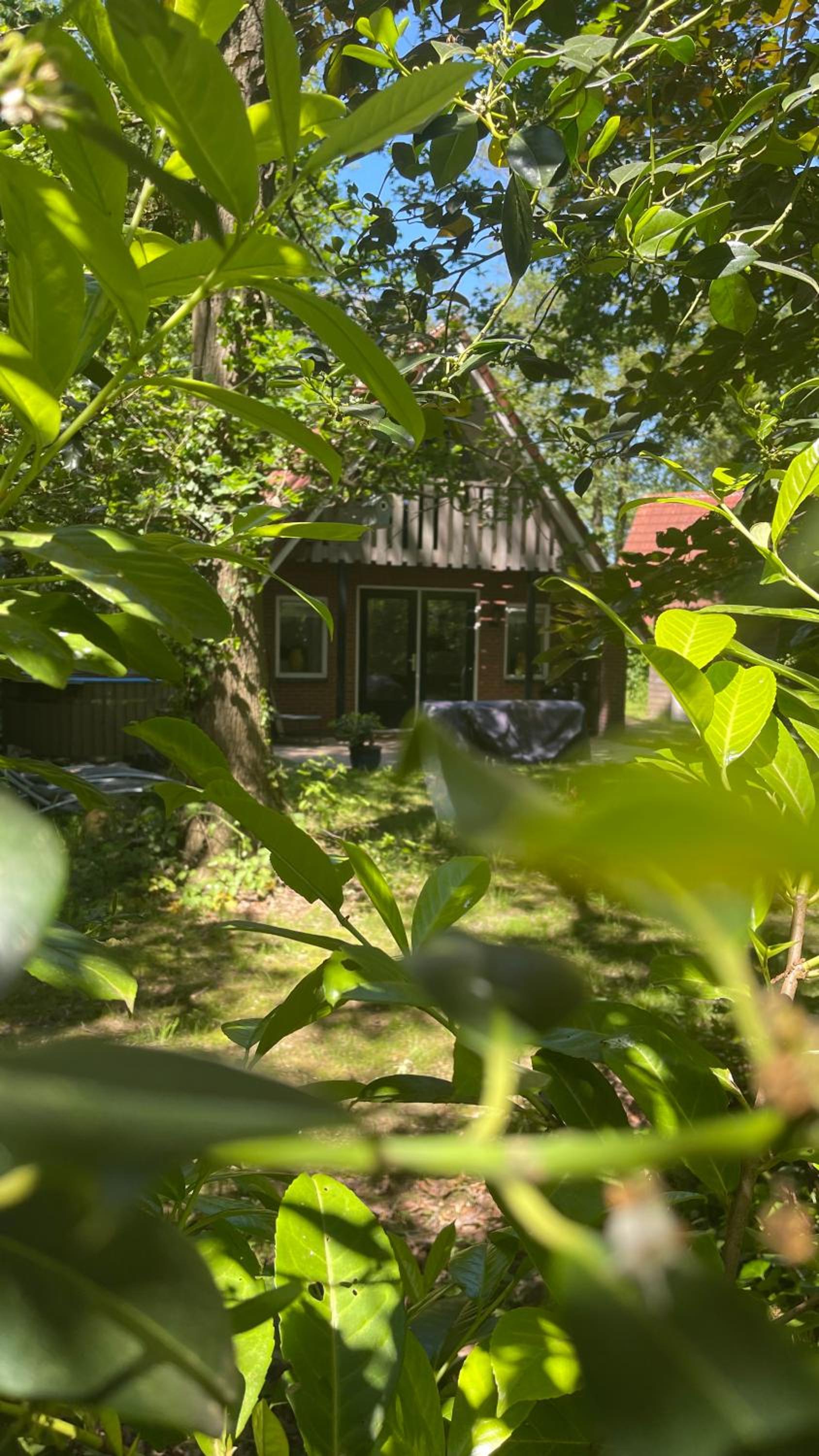 Guesthouse 