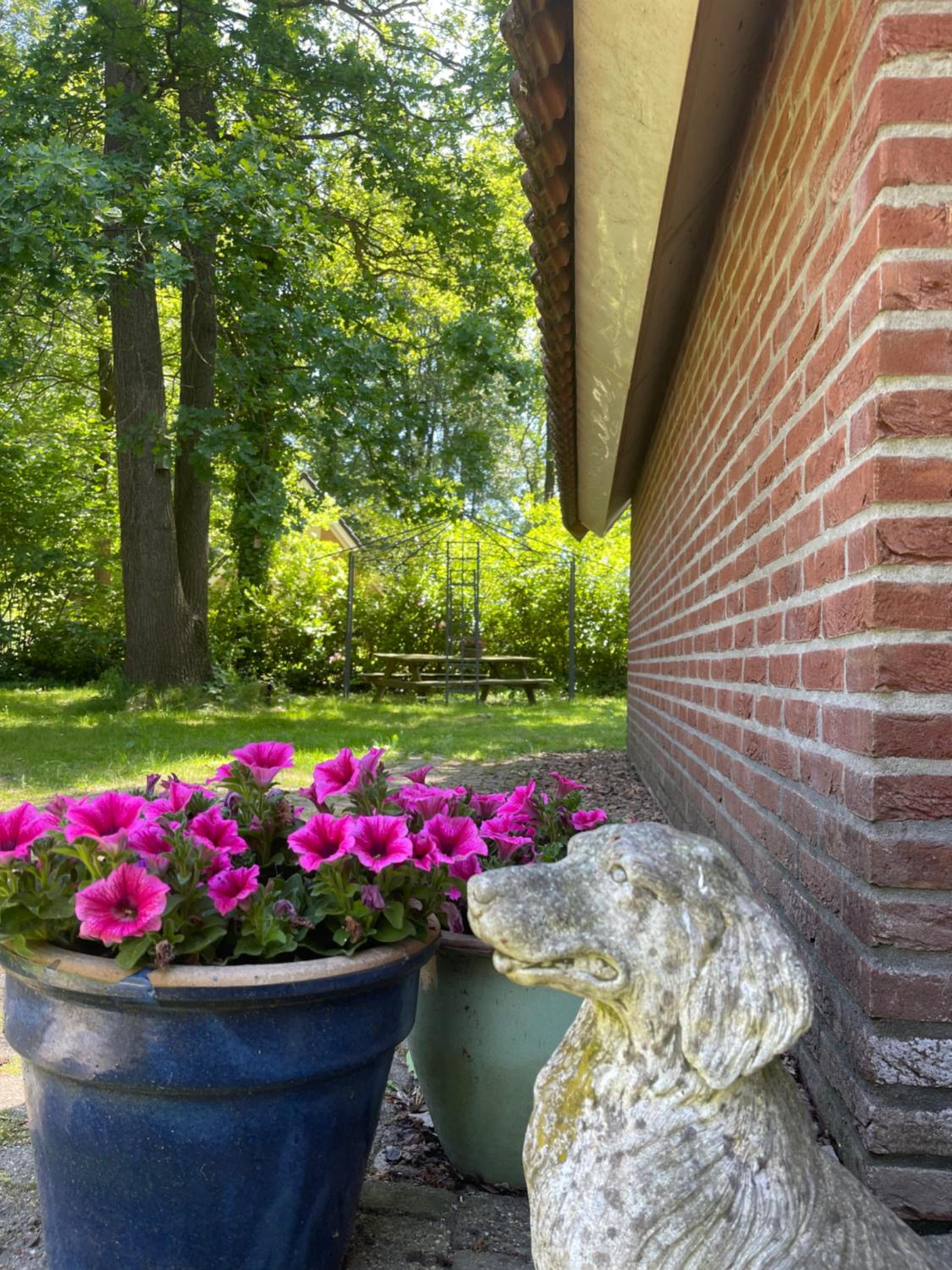Guesthouse 