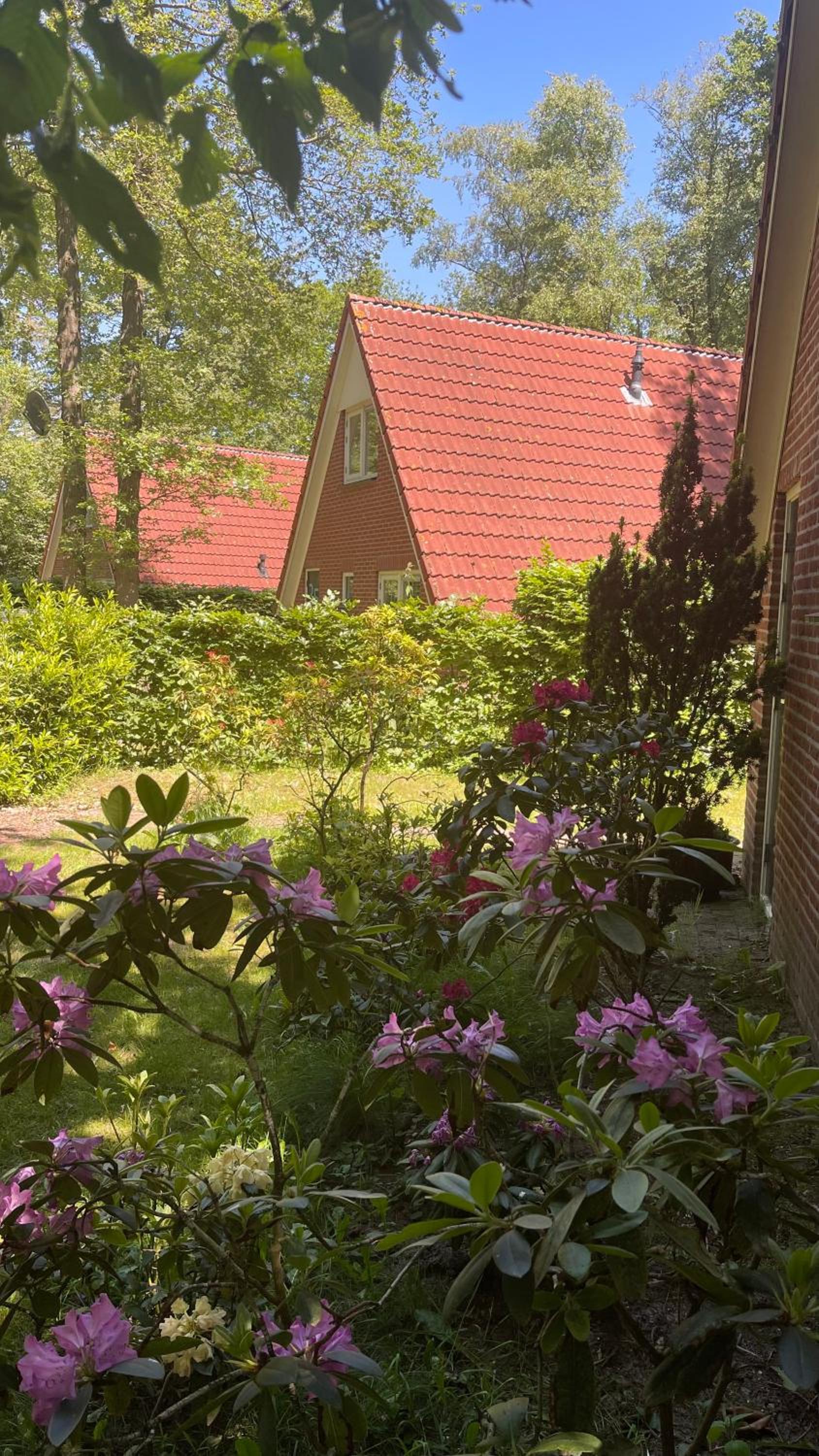 Guesthouse 