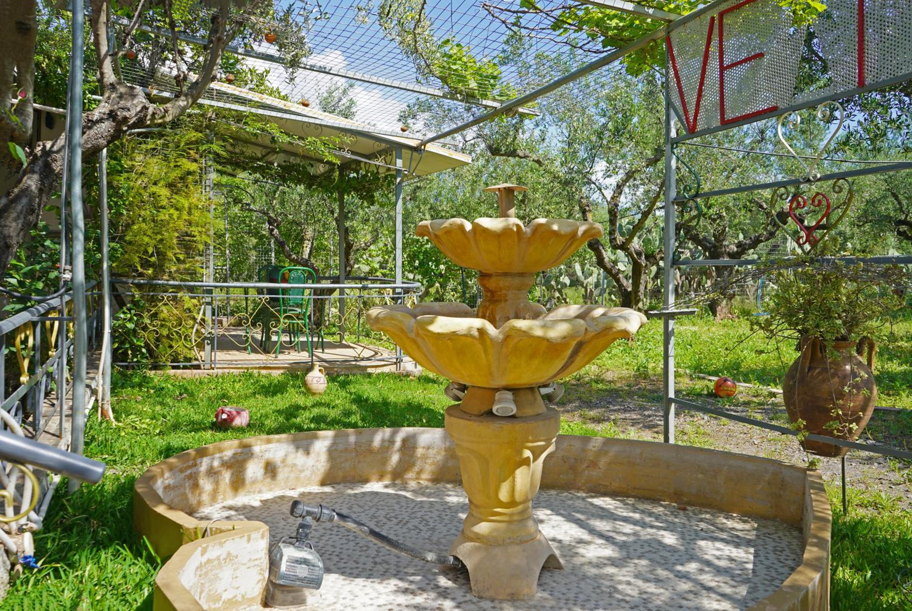 VENI Olive House view 4