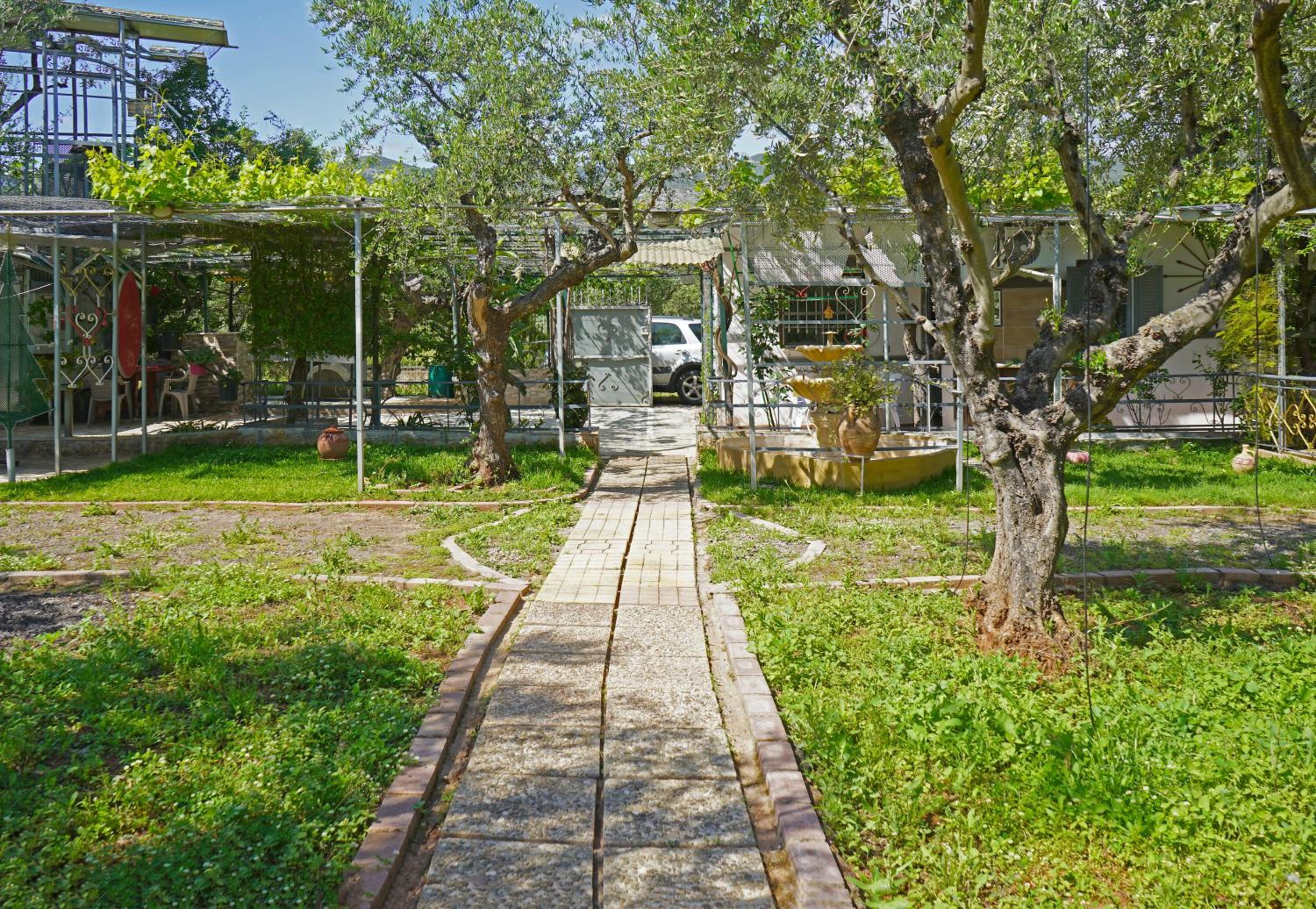 VENI Olive House view 5