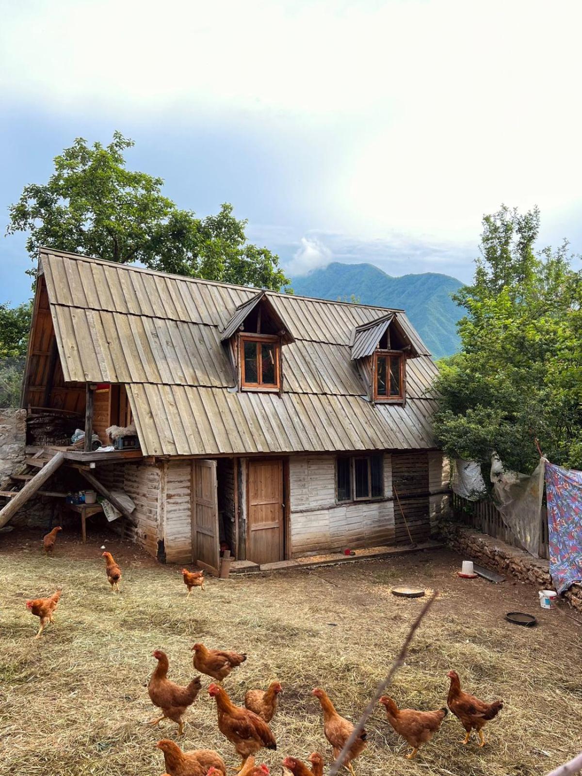 Kulla Hupi Agriturism