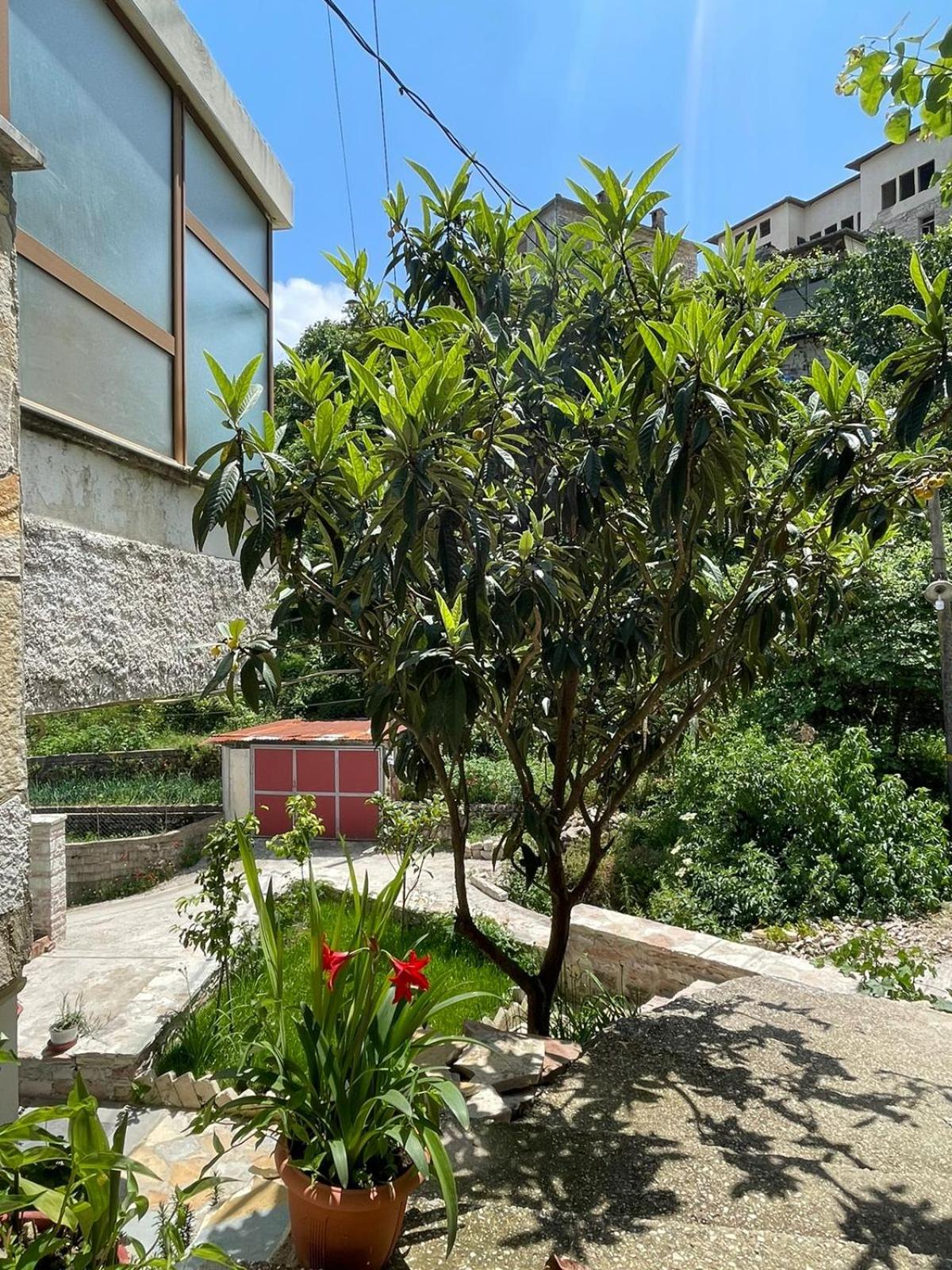 Latifi Guesthouse
