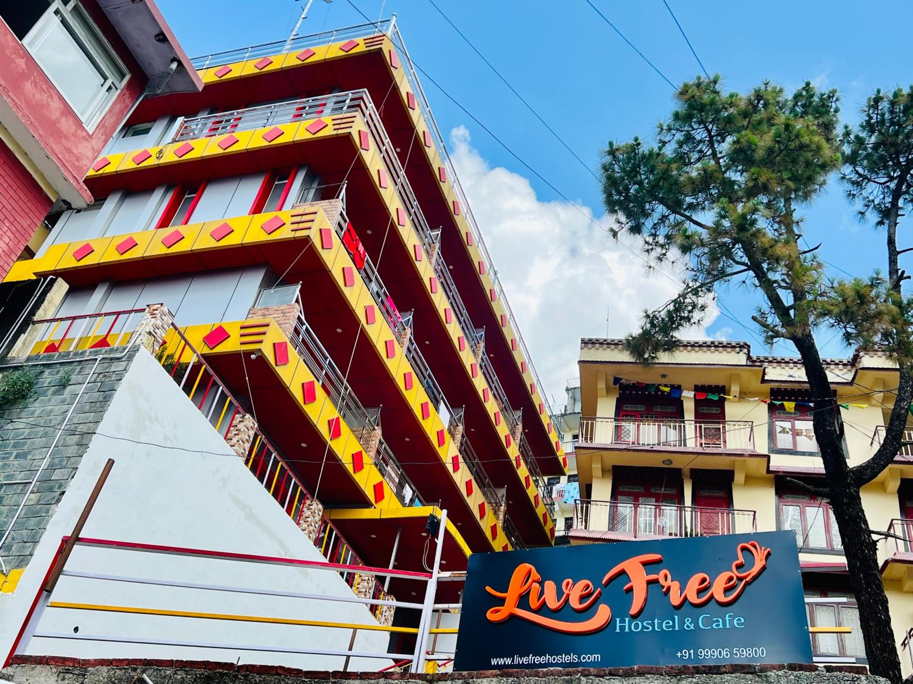 Live Free Hostel, Mcleodganj view 3