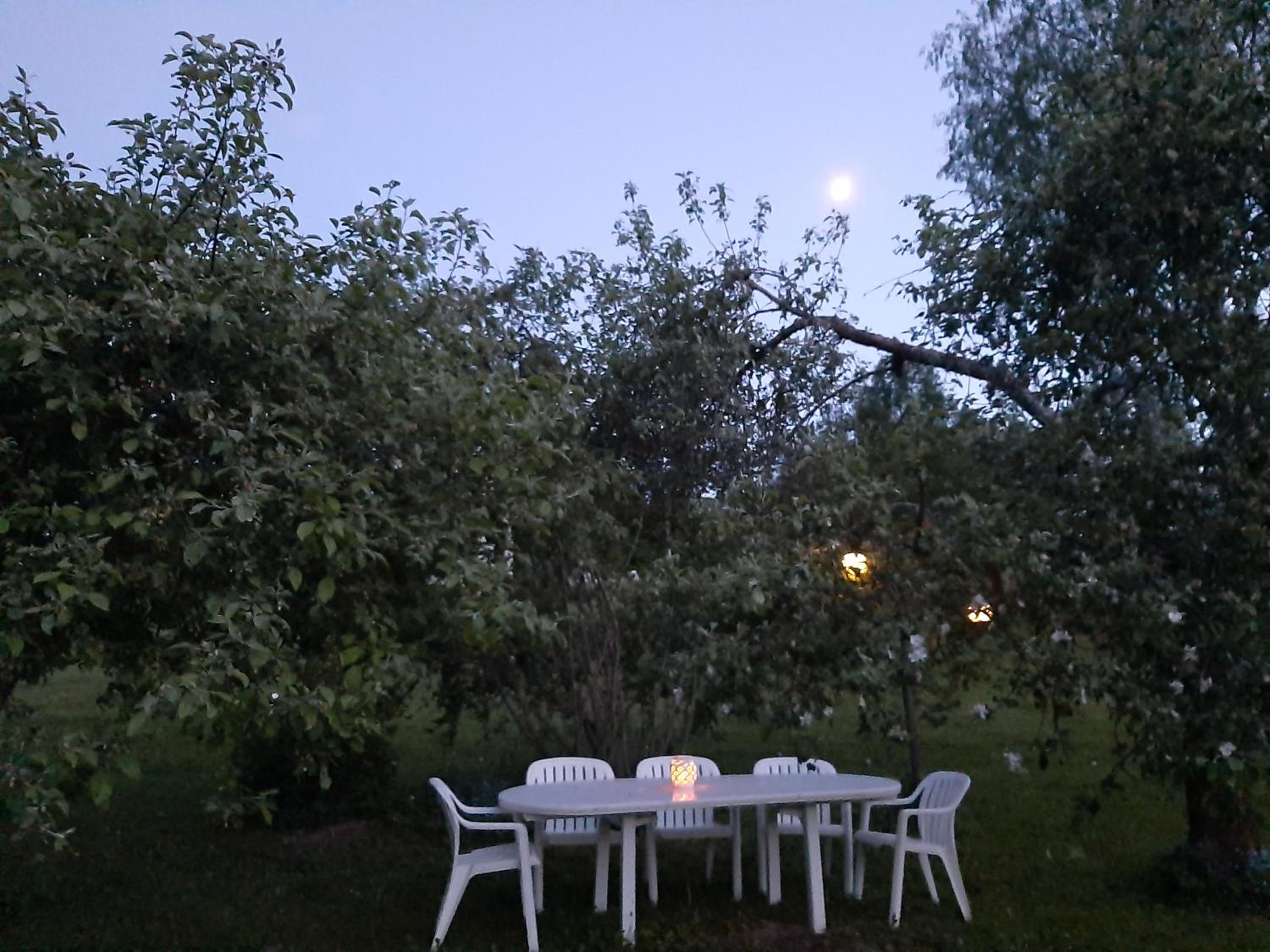 Photo 26