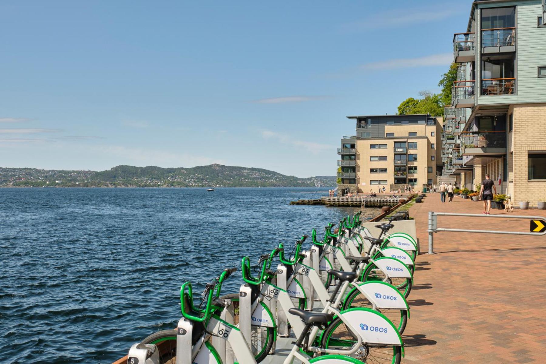 Sea-Kissed Elegance: Your Bergen City Retreat