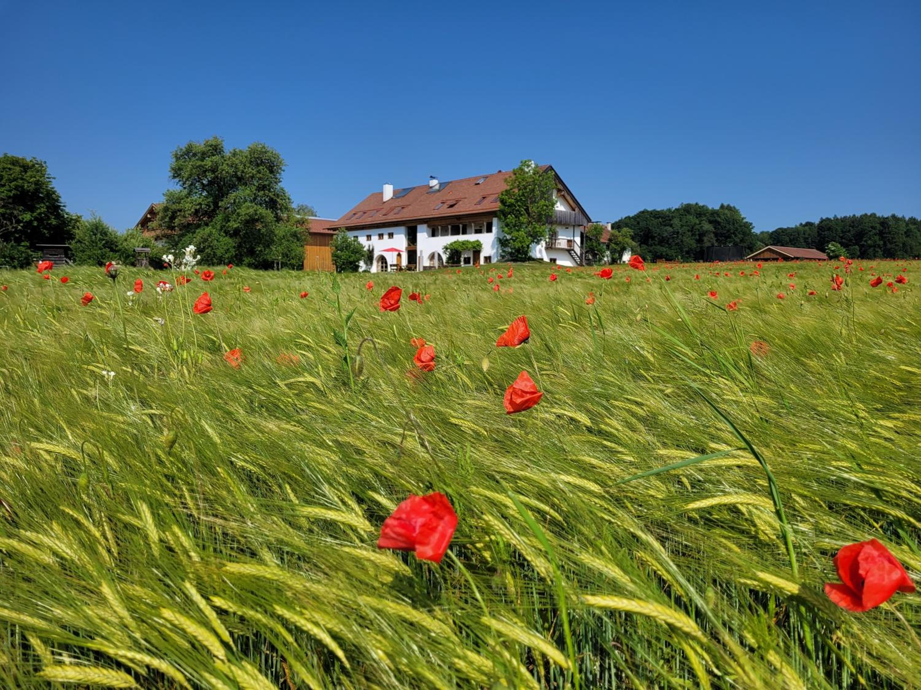 Hagerhof