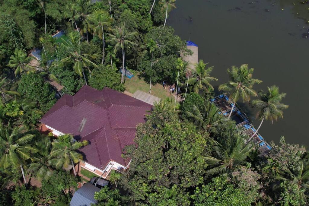 Joan's Homestay view 2