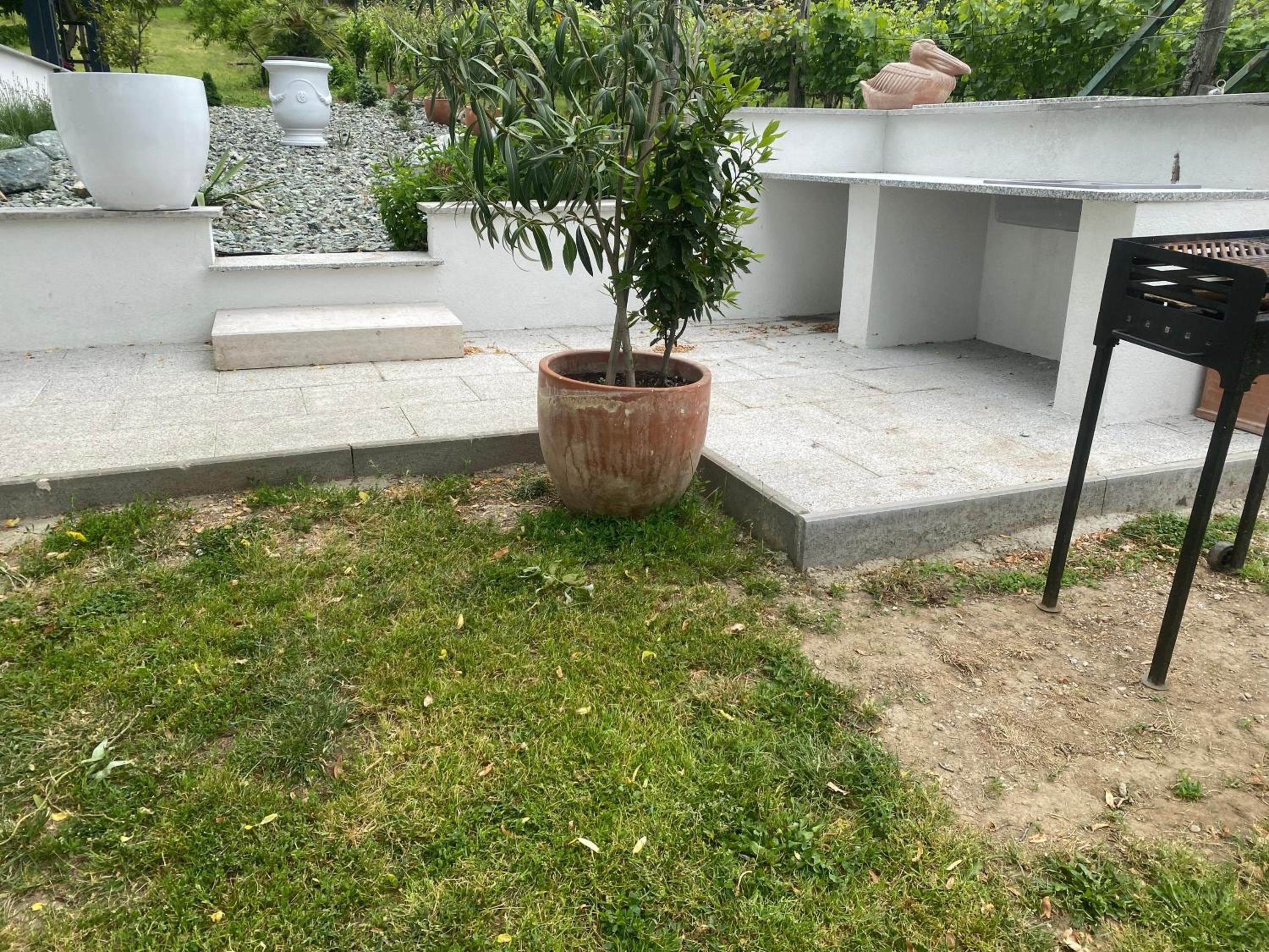 Photo 33