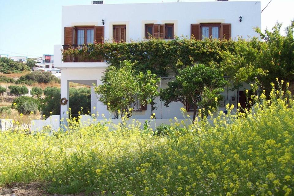 Benigna Studios