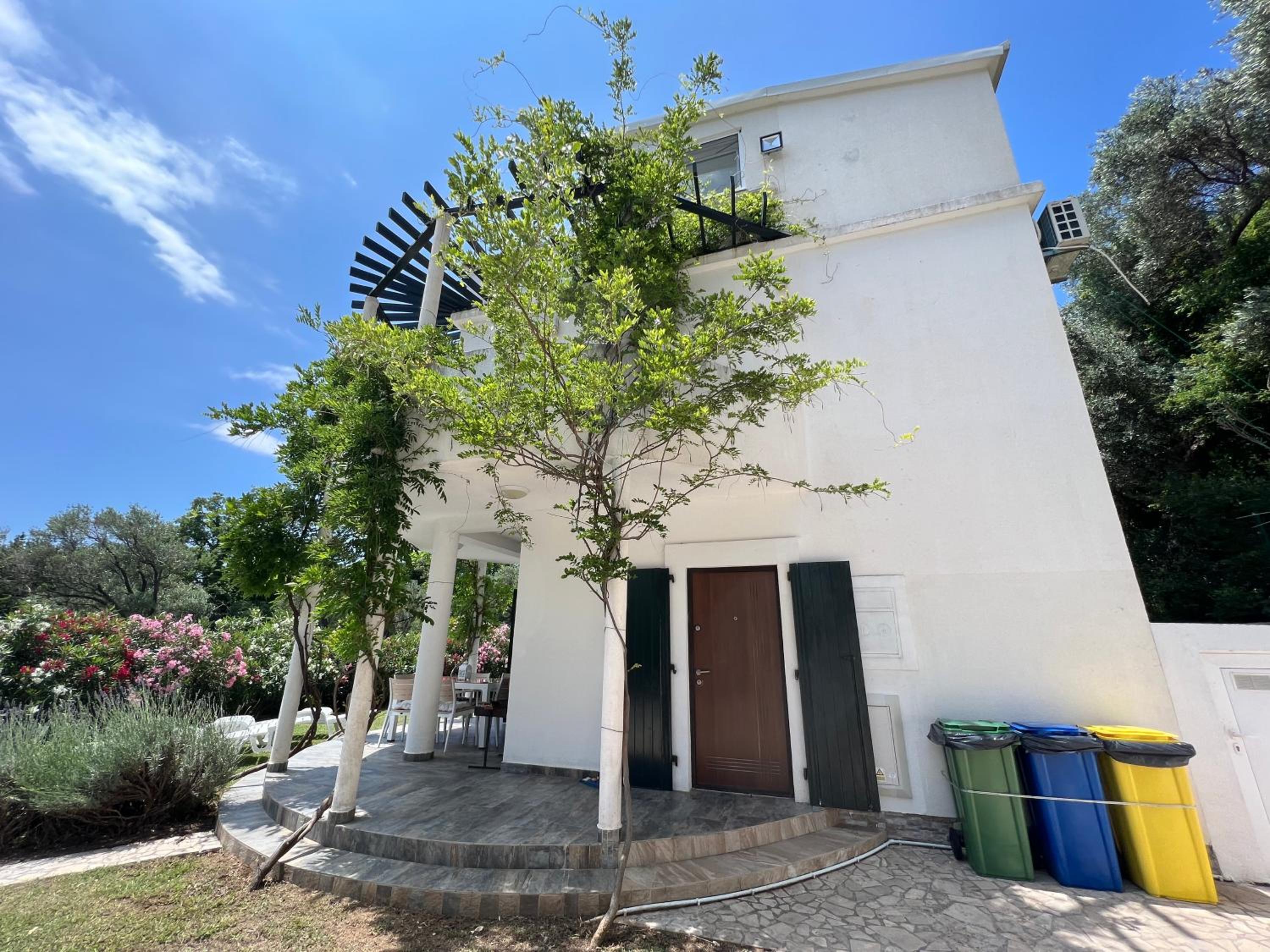 Green Villa in Olives view 5