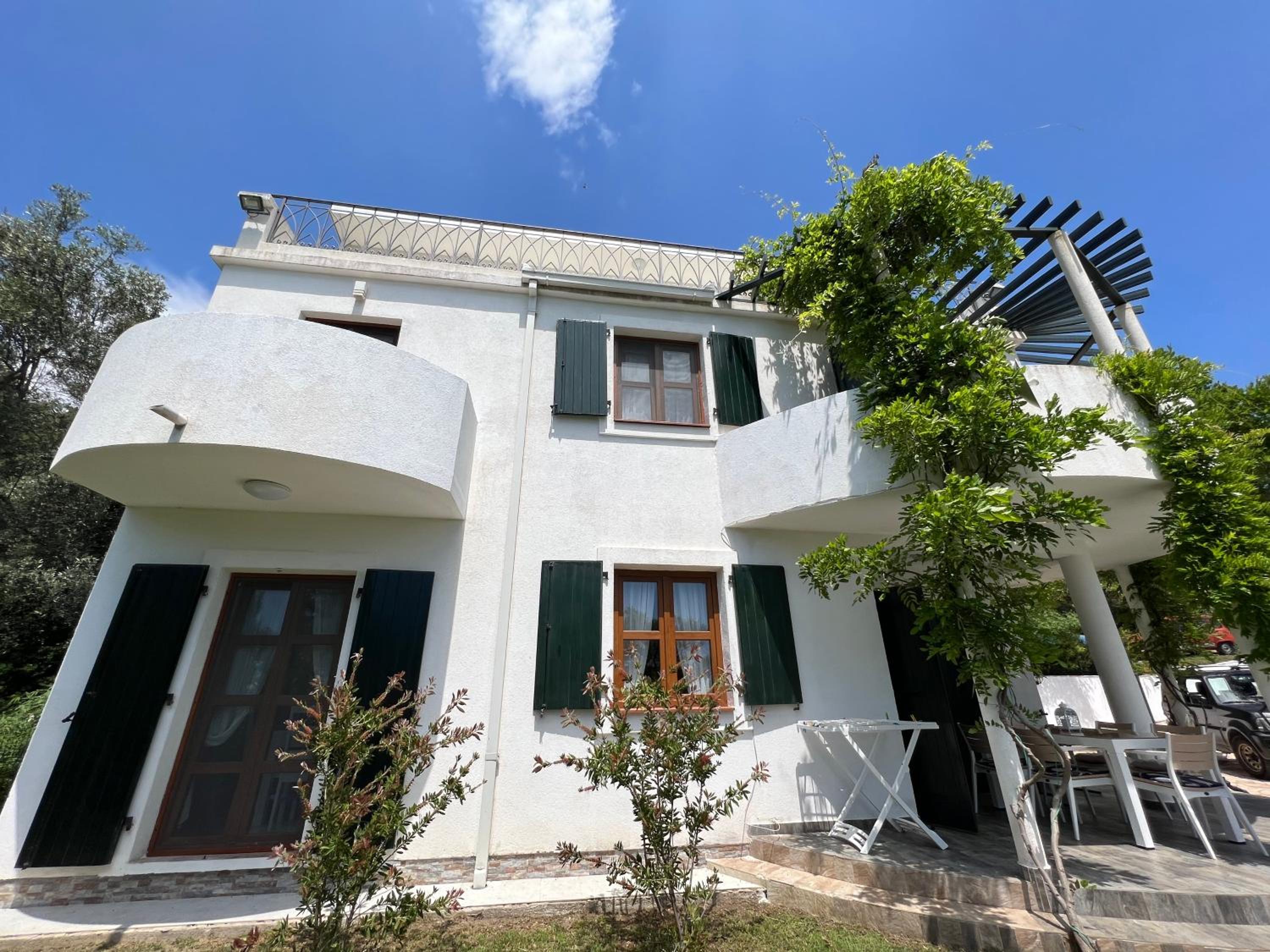 Green Villa in Olives view 4