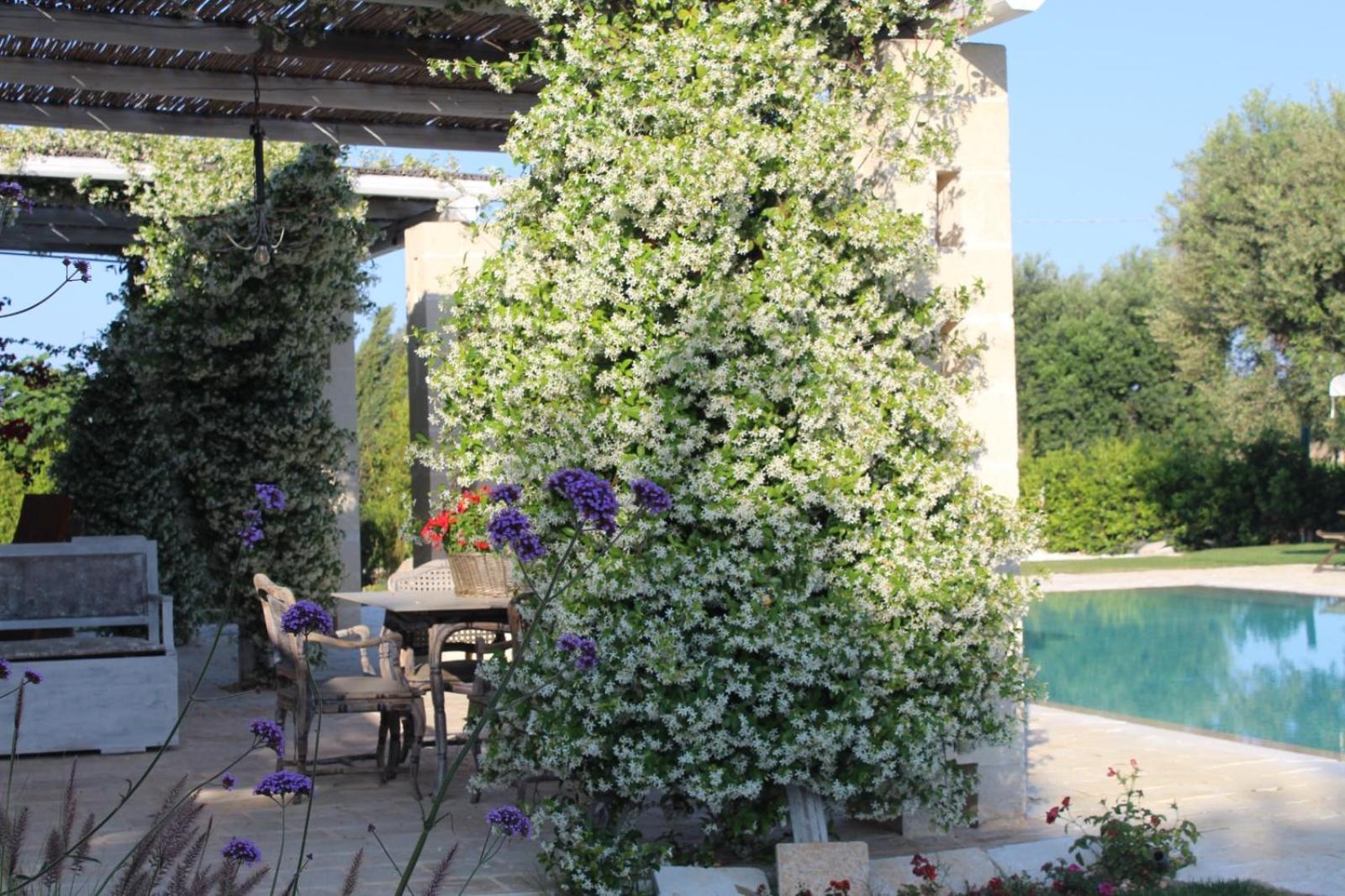 Masseria Verbena Agriturismo