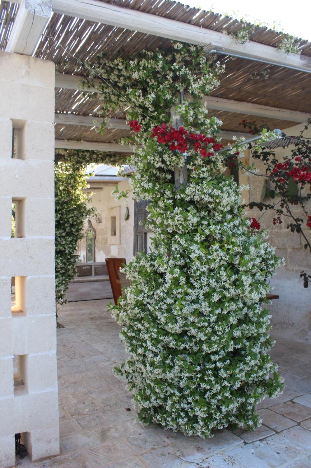 Masseria Verbena Agriturismo