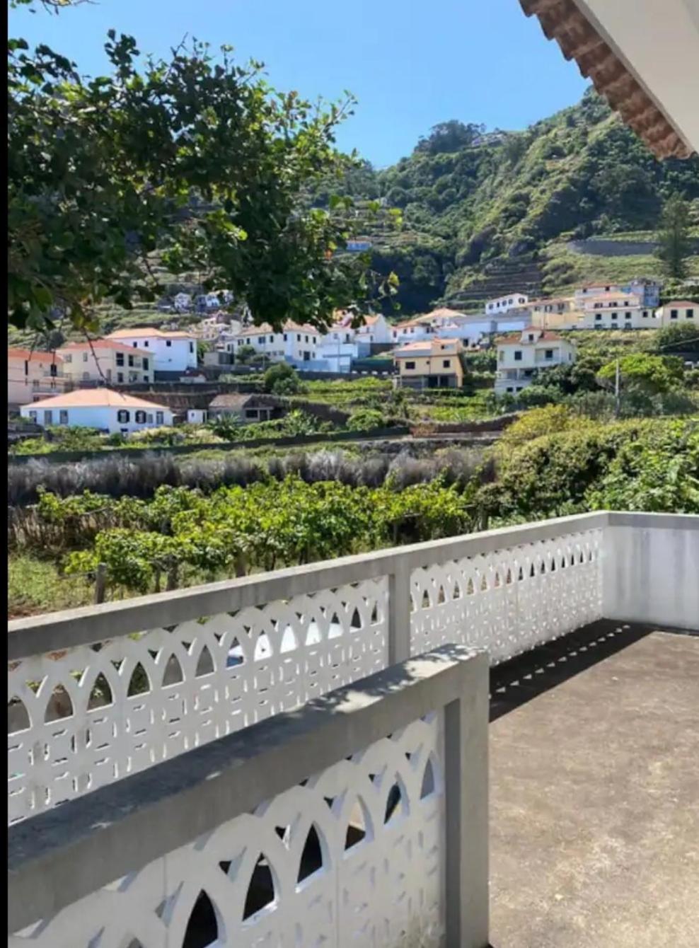 Avó Lucindinha House - Porto Moniz view 5