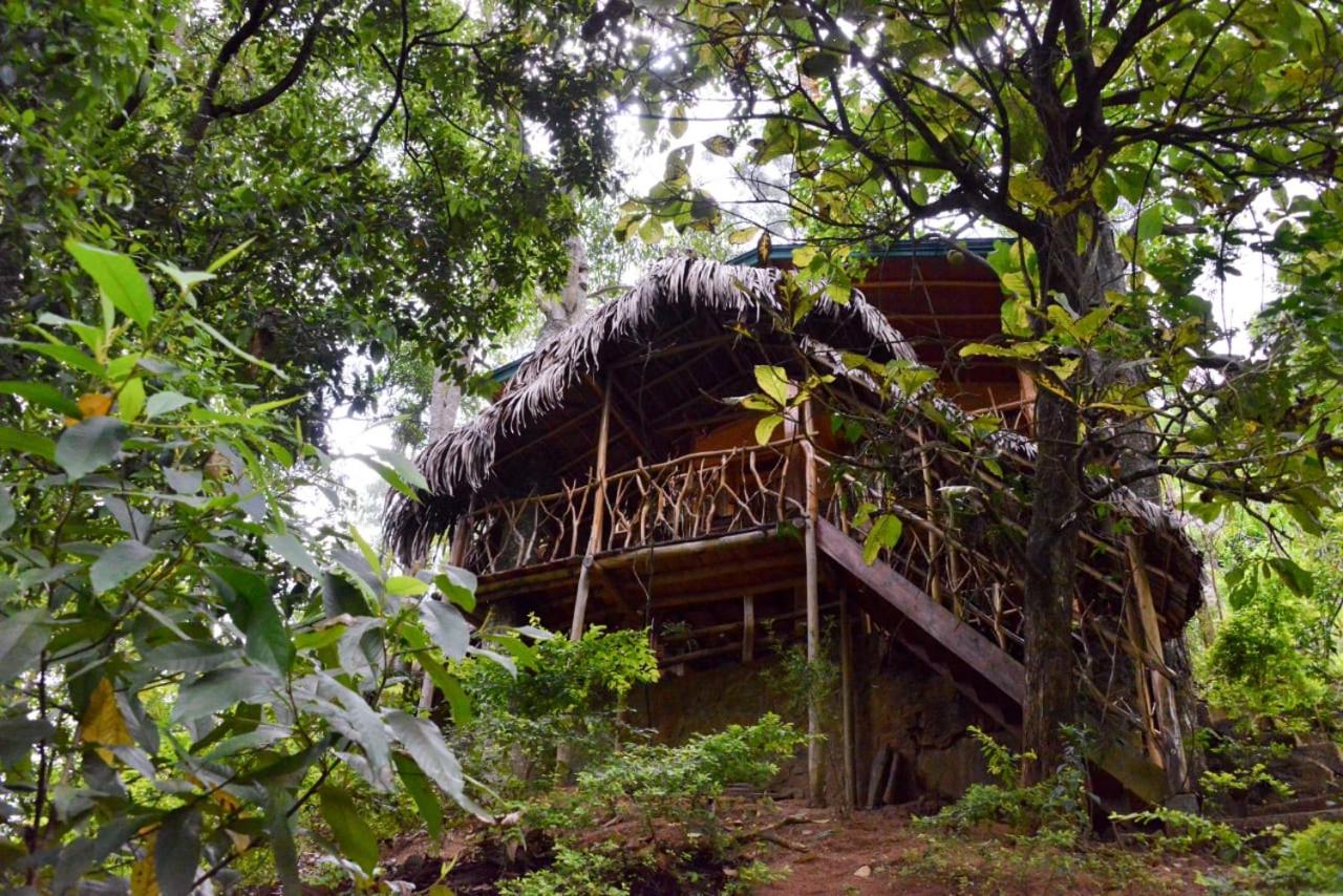 Eco Village view 4