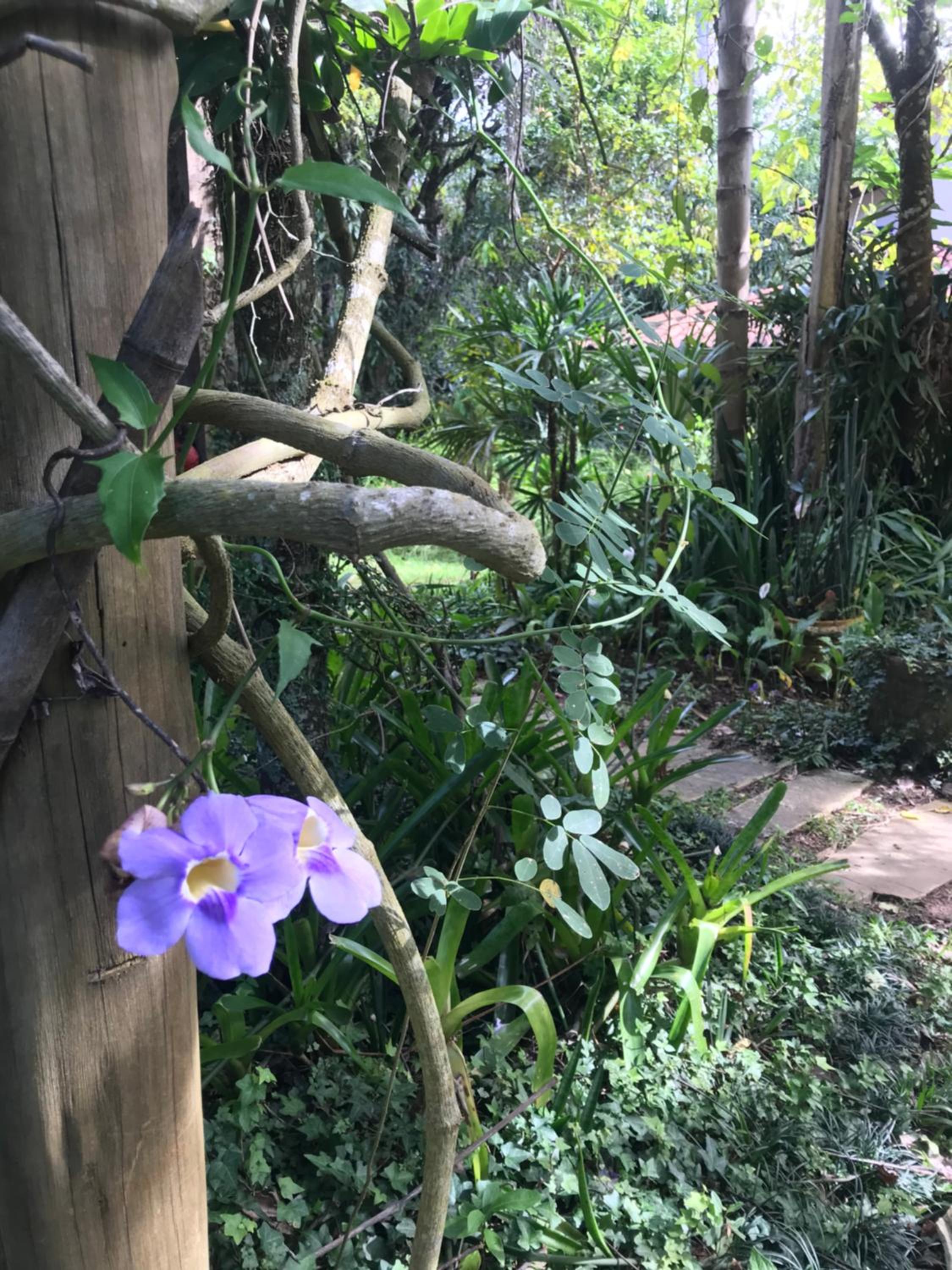 Pousada Flor de Íris