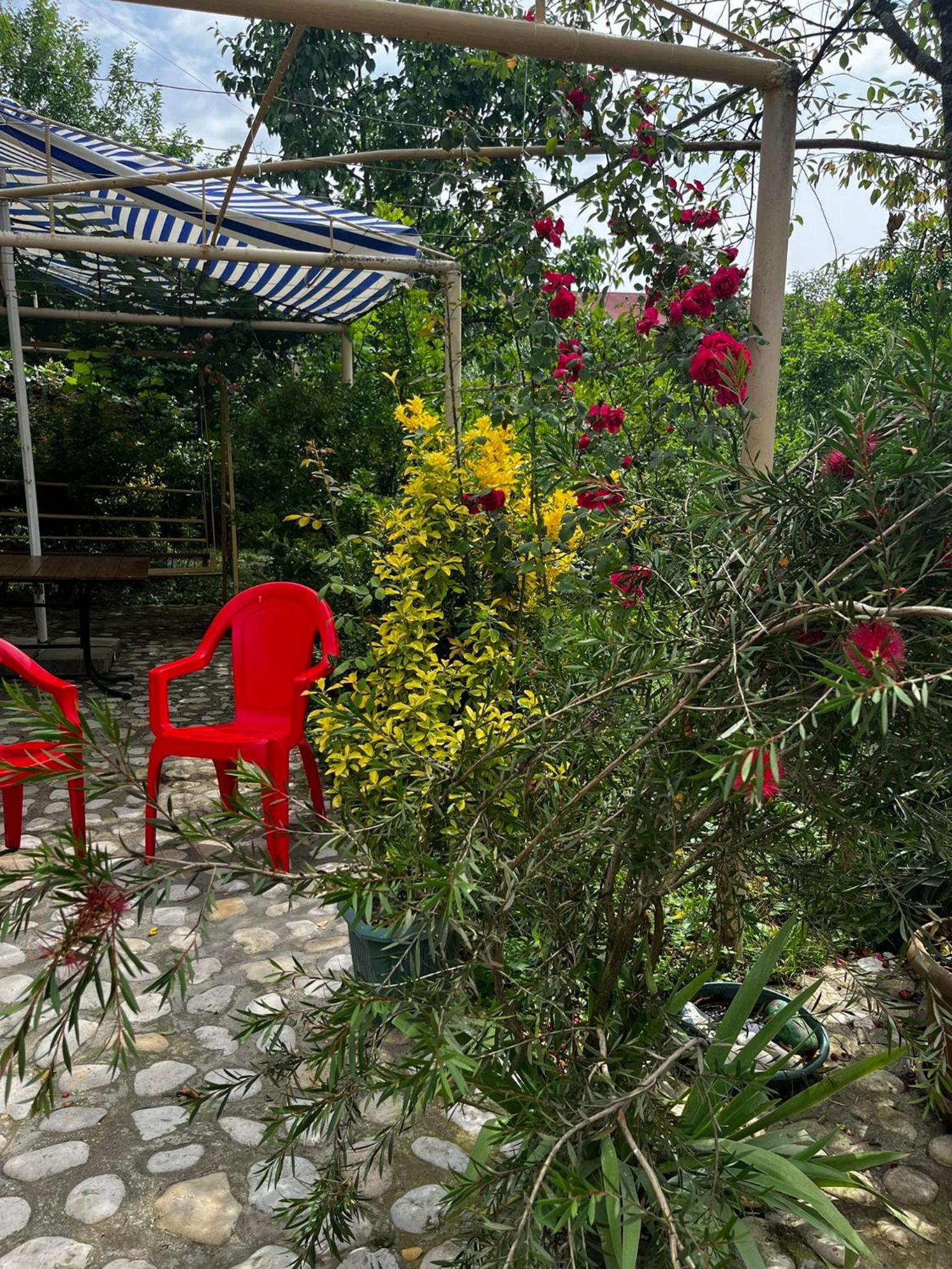 Samegrelo guesthouse
