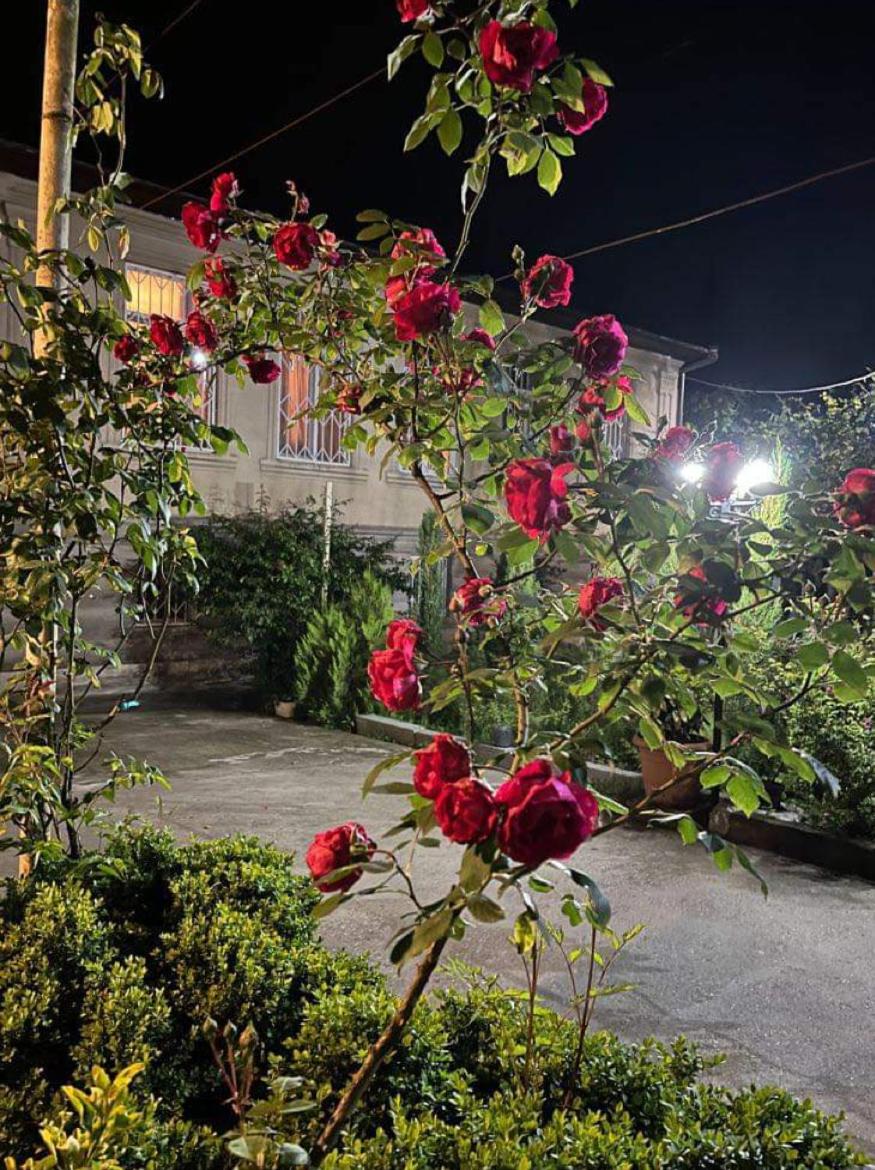 Samegrelo guesthouse