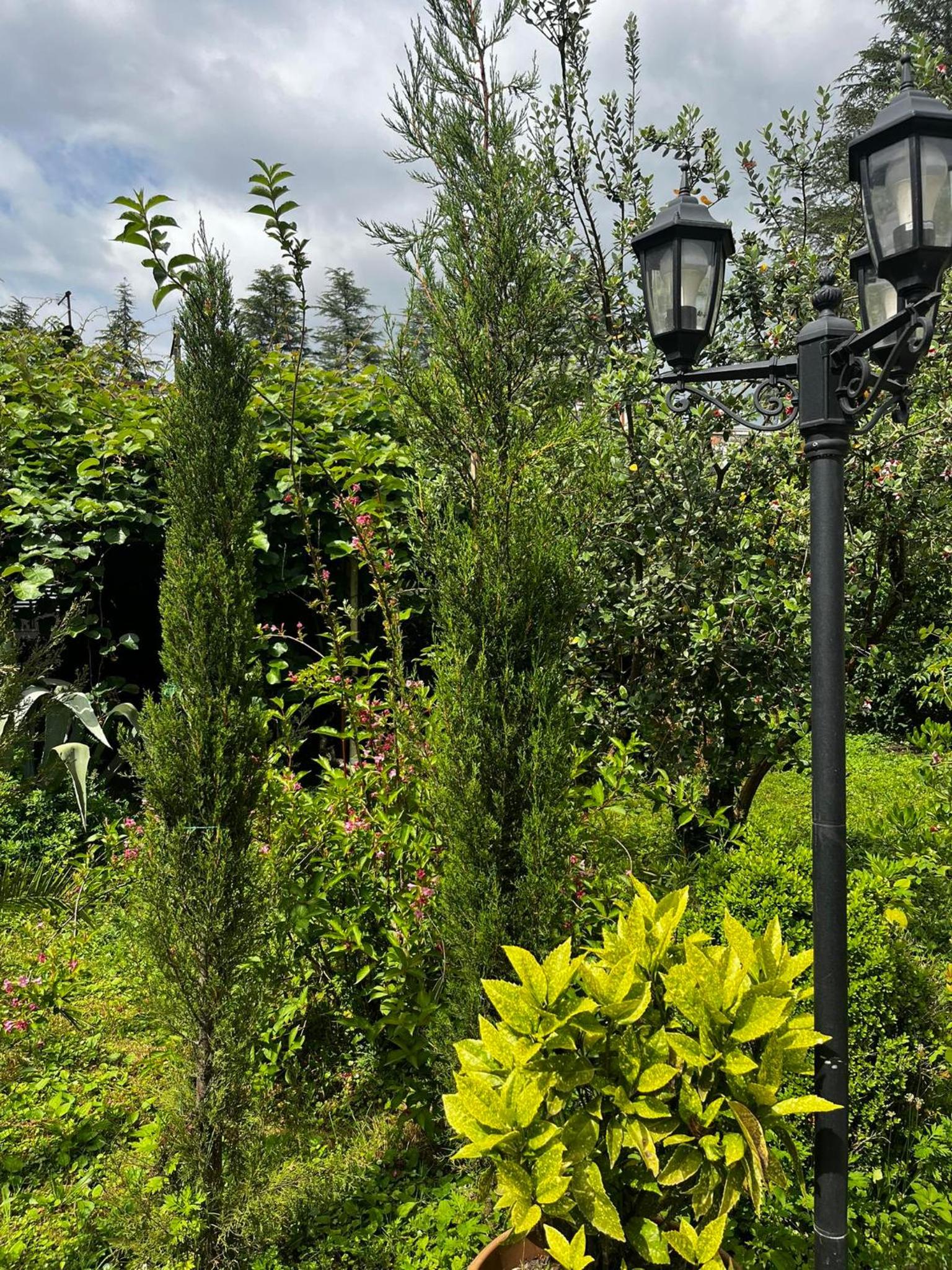 Samegrelo guesthouse