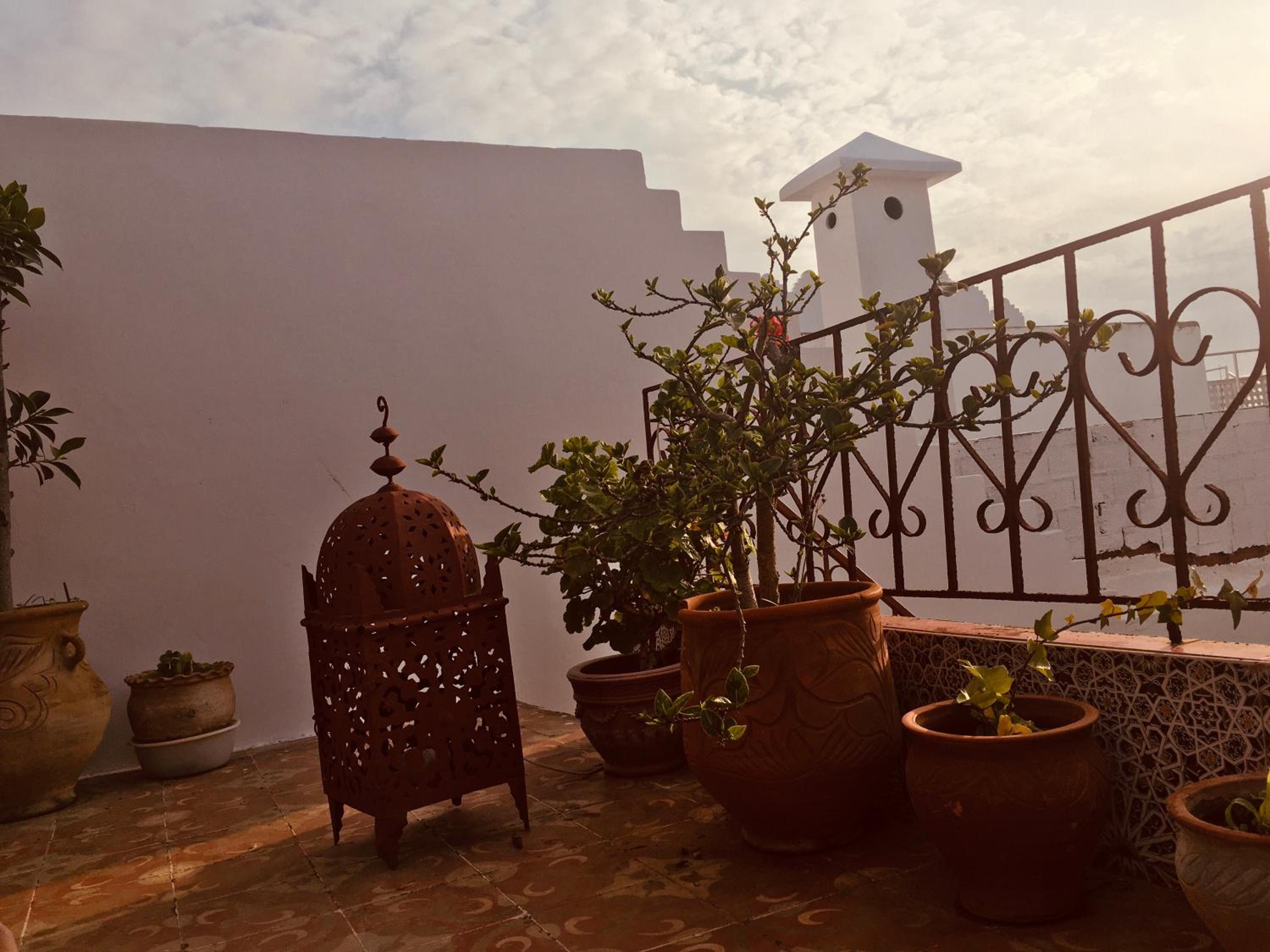 roof